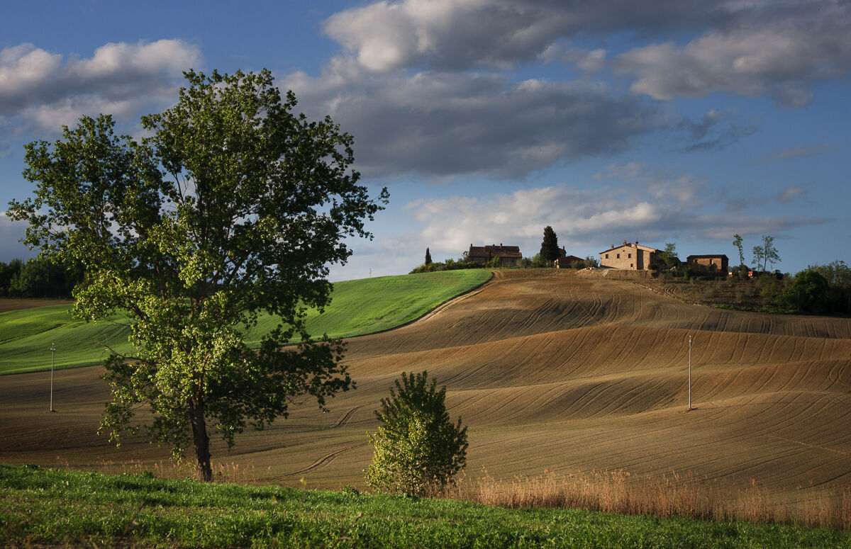 Sweet Tuscan April ...
