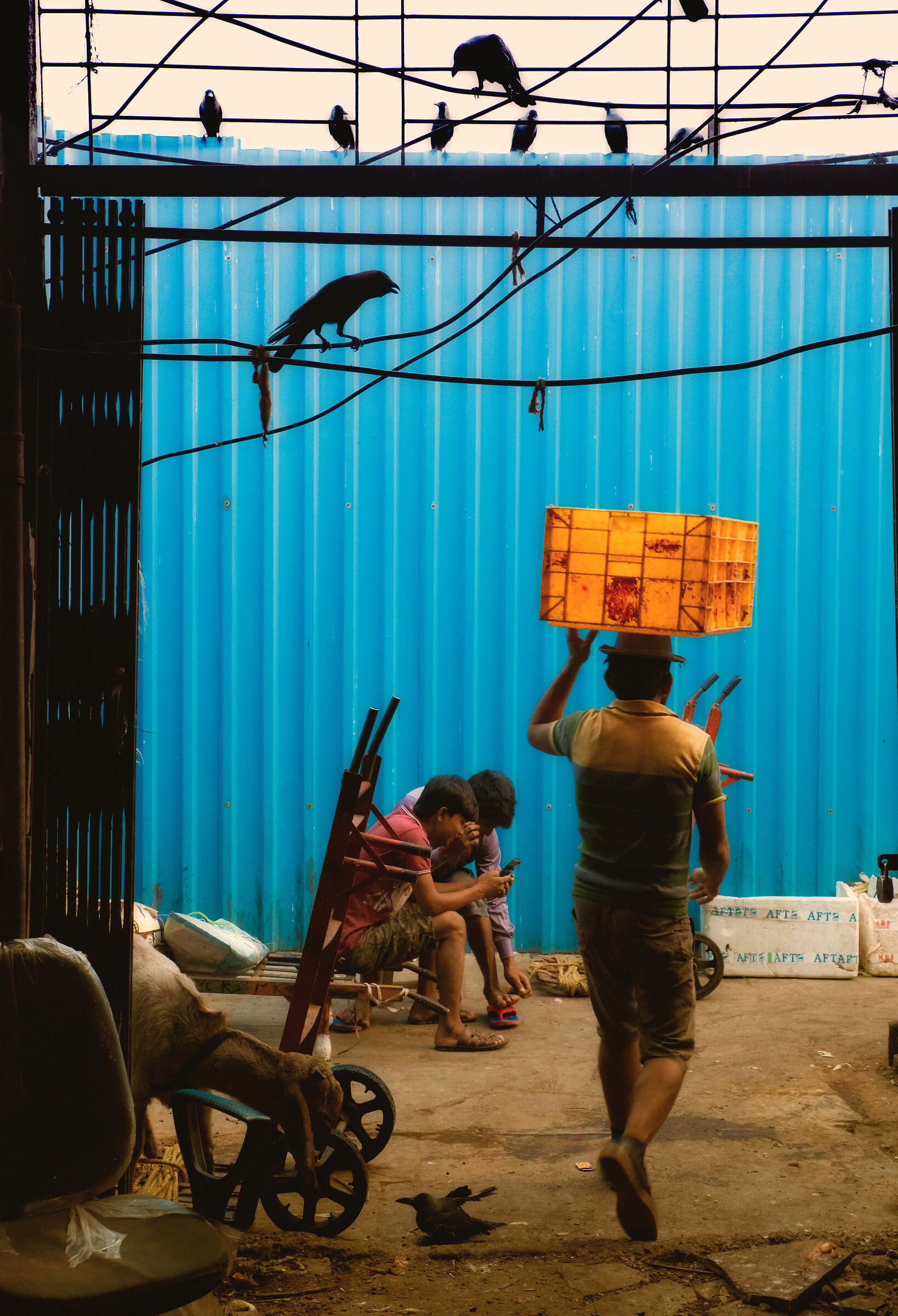 Crawford market. Mumbai, 2018.