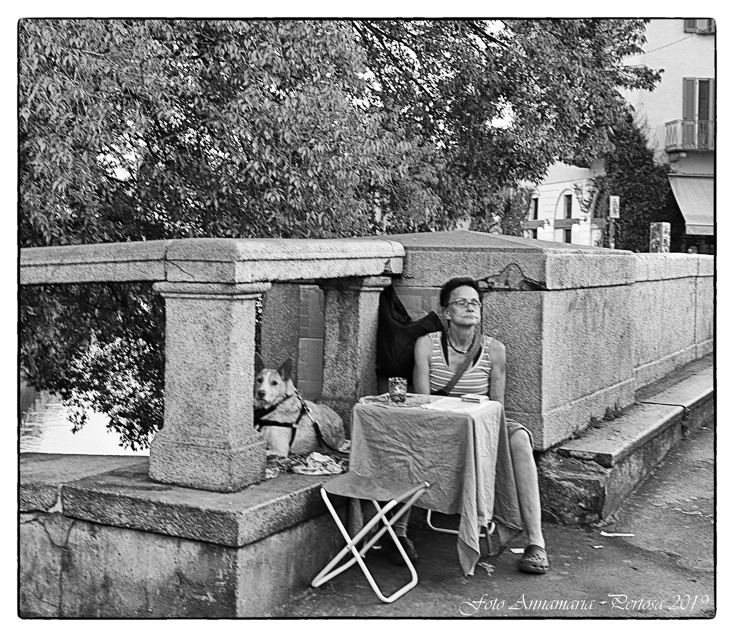 The Ship's Cartomante