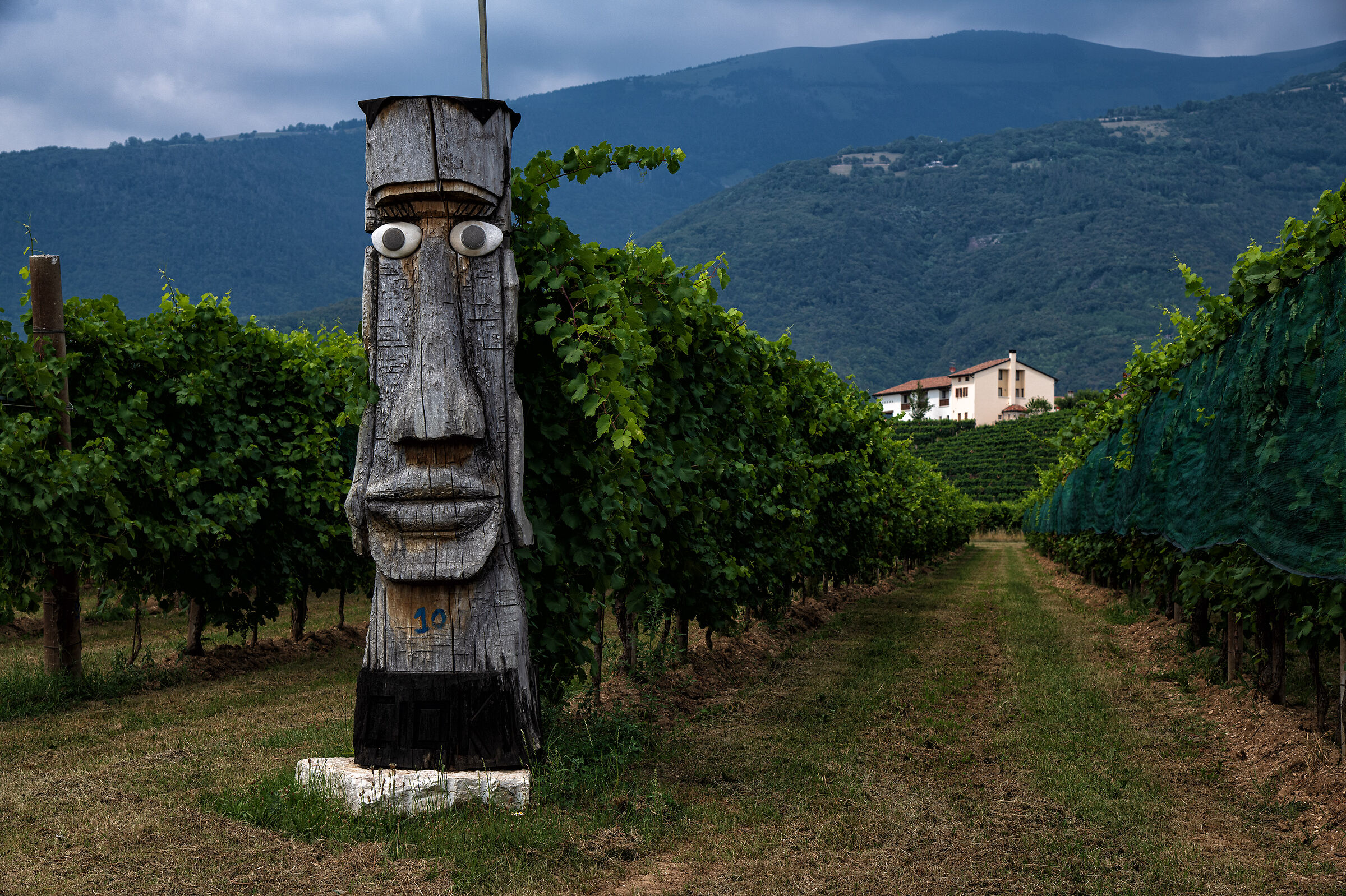 The protector of prosecco