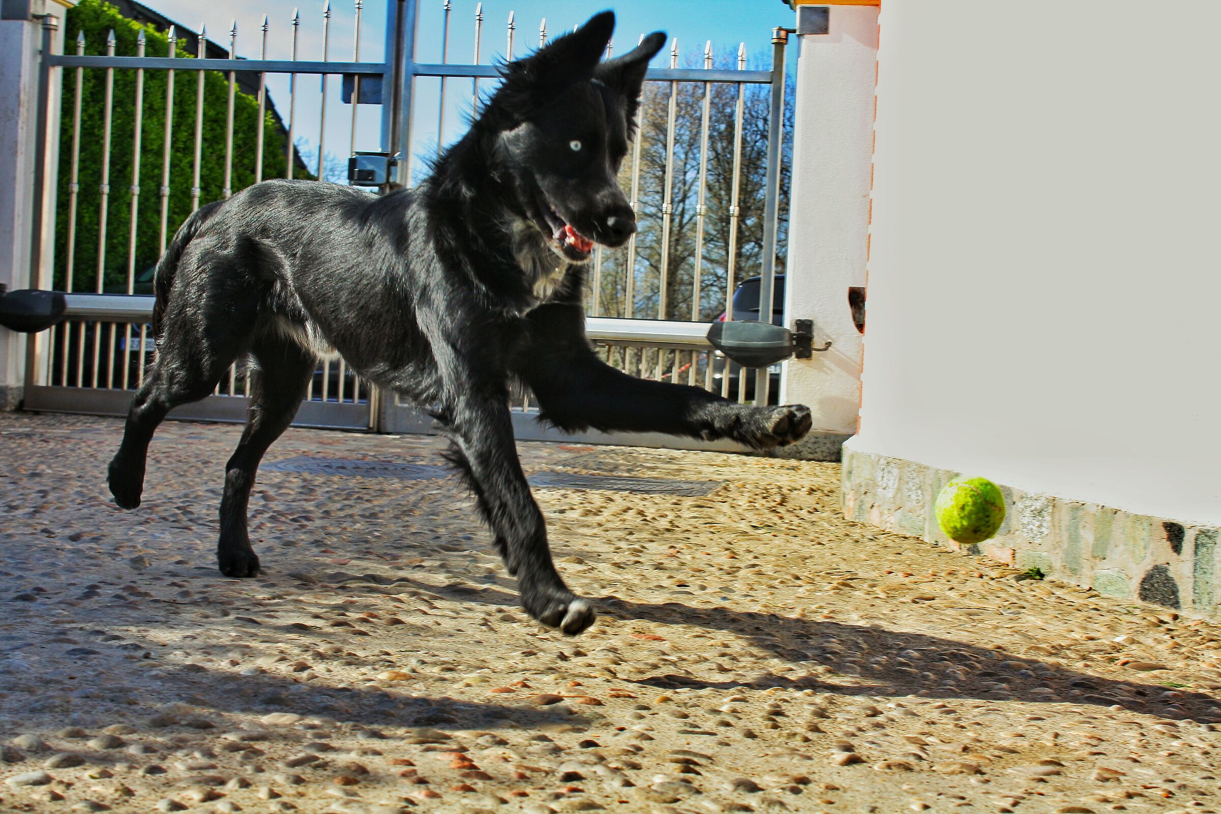 How to be happy with little