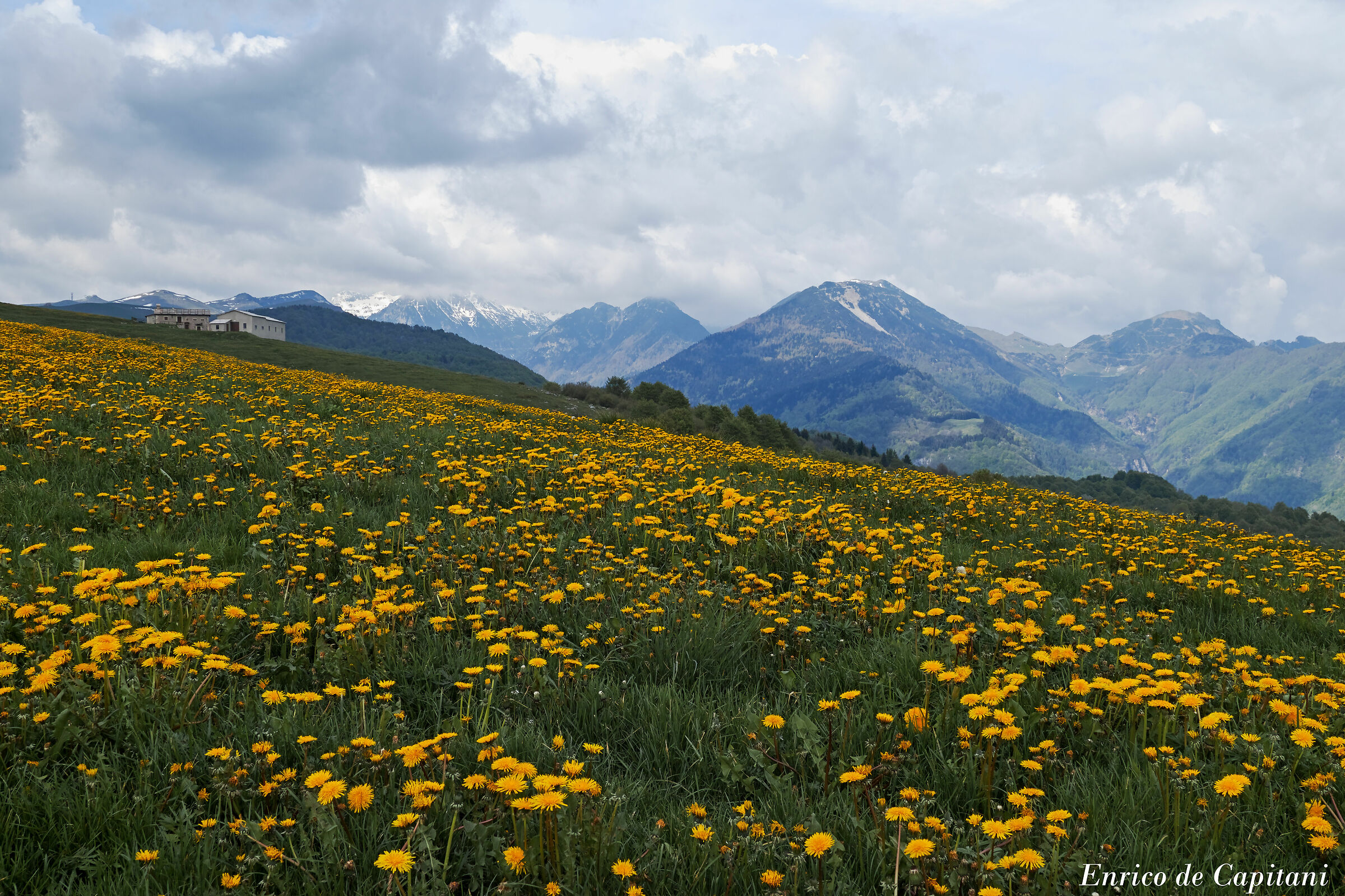 Primavera sui monti Lessini