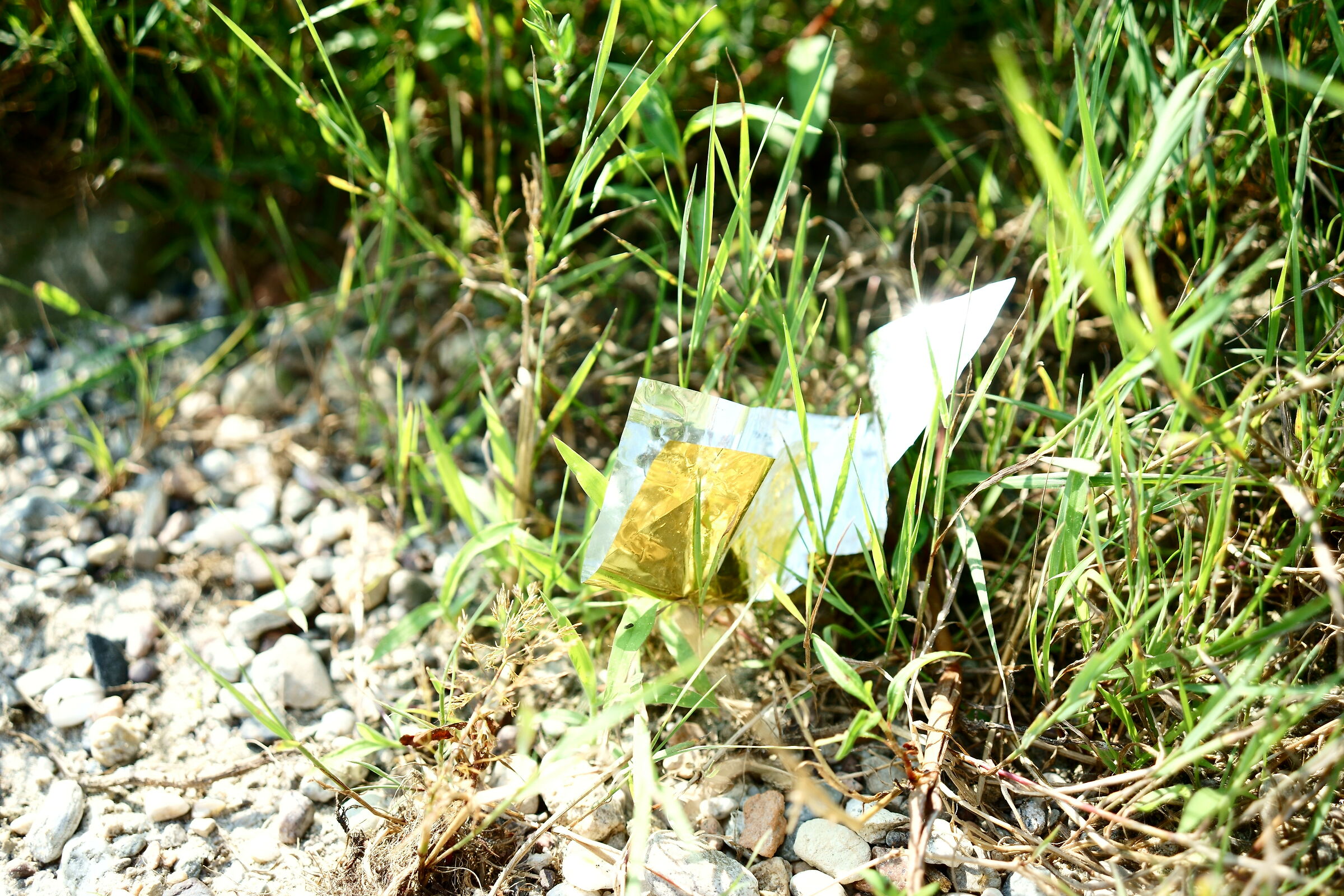 Un raggio di sole nell'erba