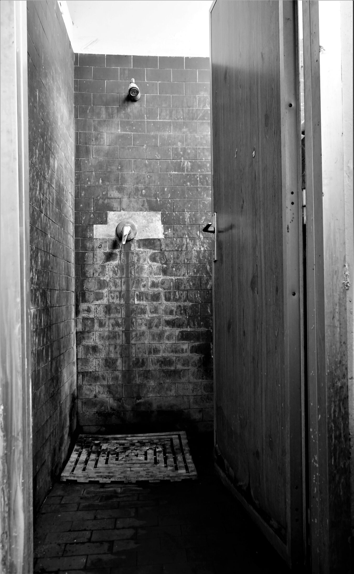 Untitled Photo