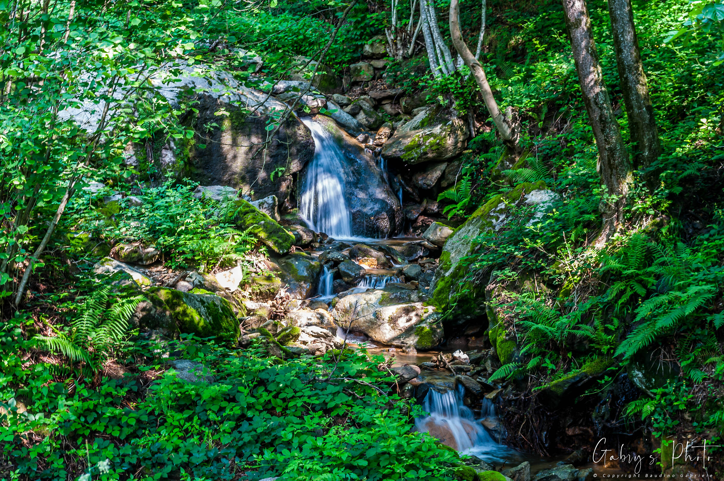 Mountain stream - Borgiallo (TO)