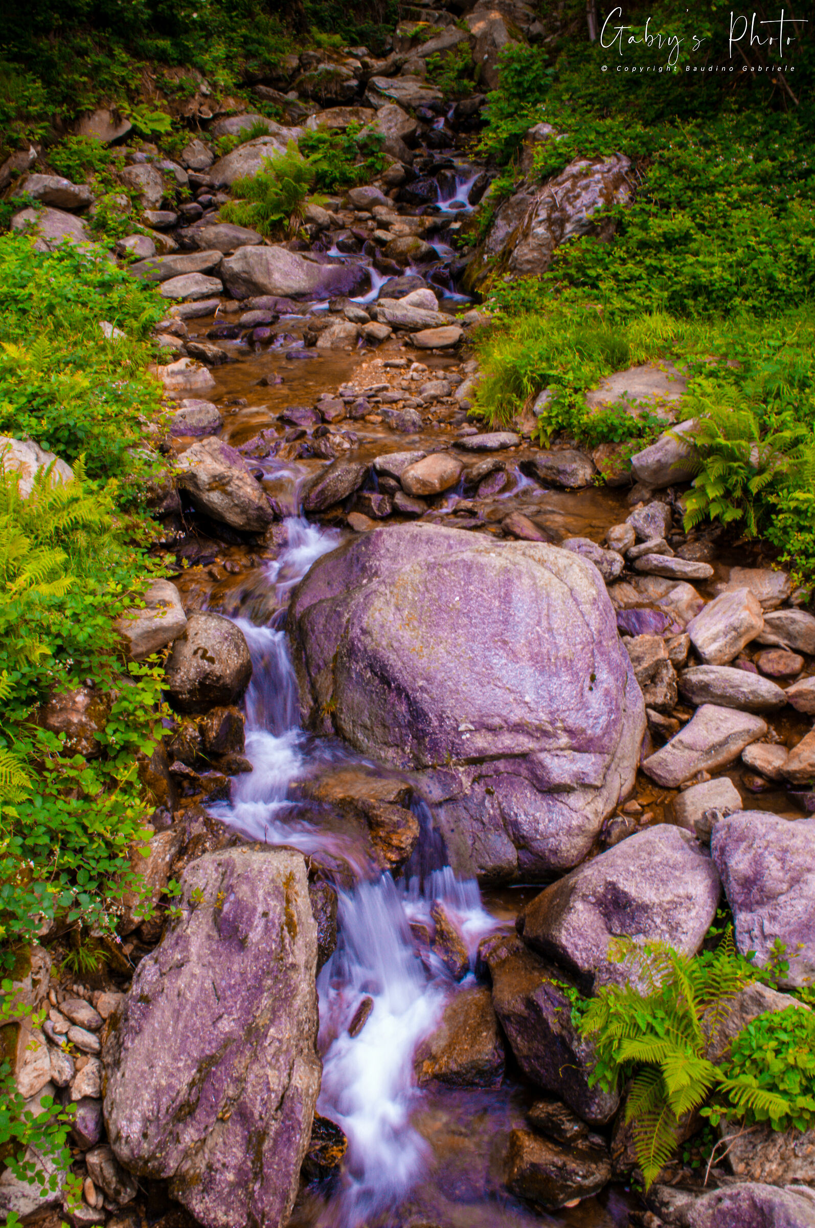 Mountain stream - Borgiallo (TO)