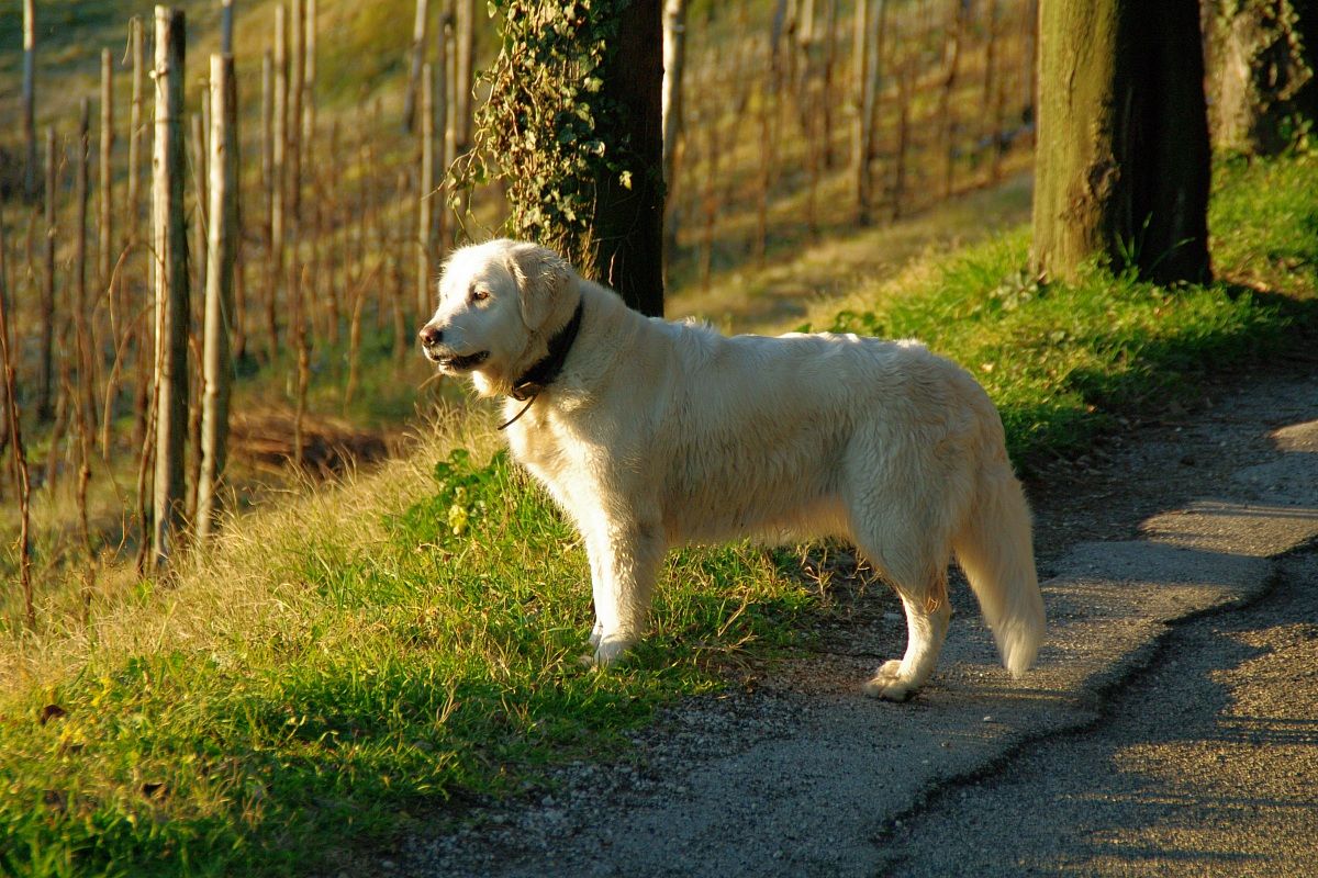 prime luci del giorno