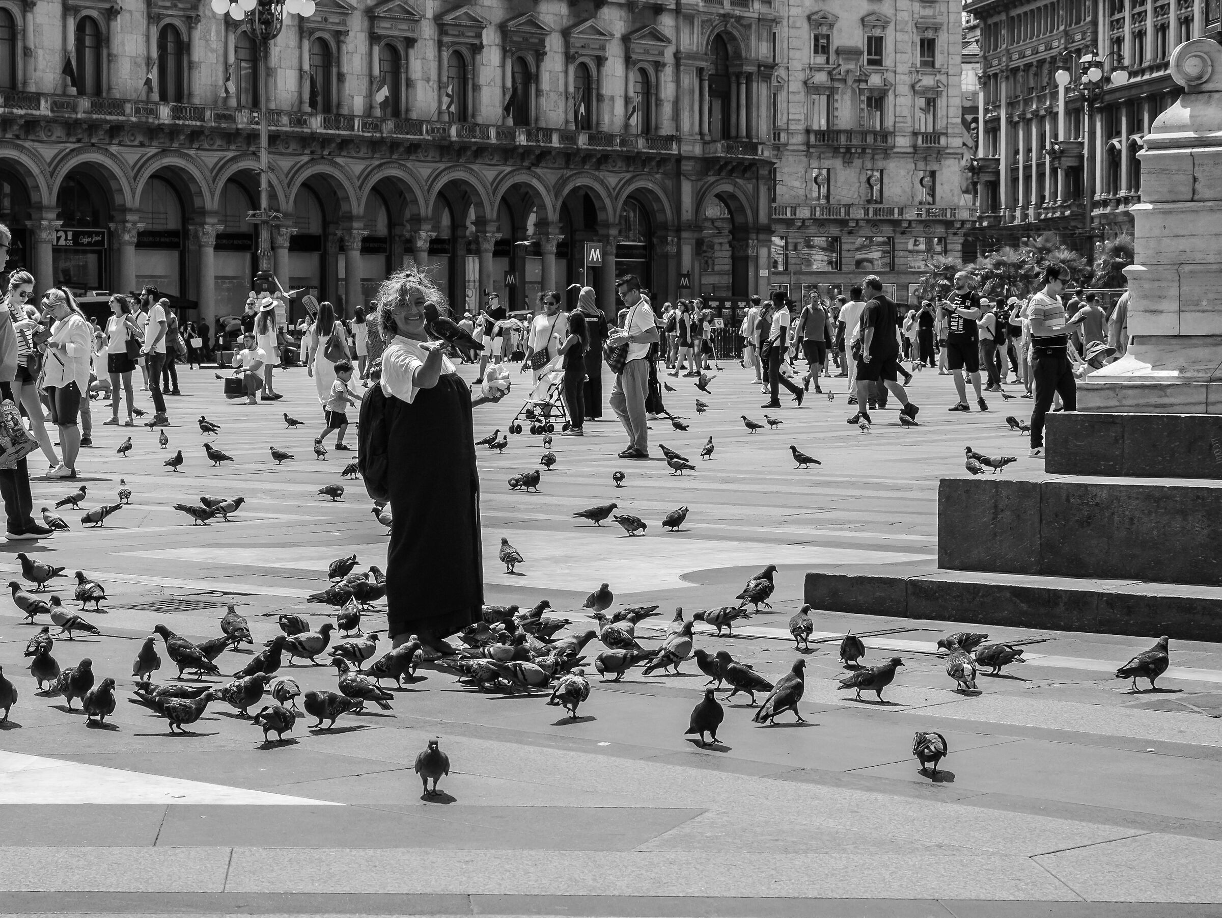 Pigeons' friend