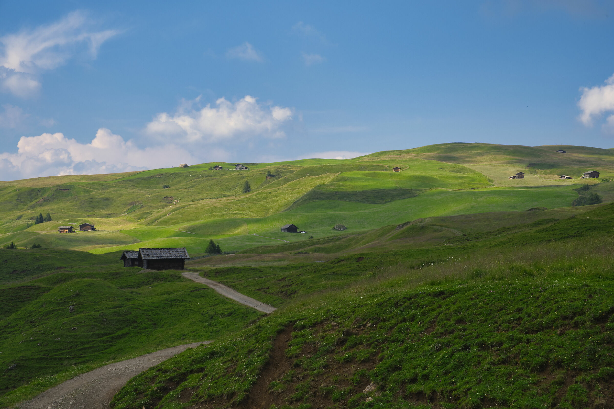 Alpe de Siusi