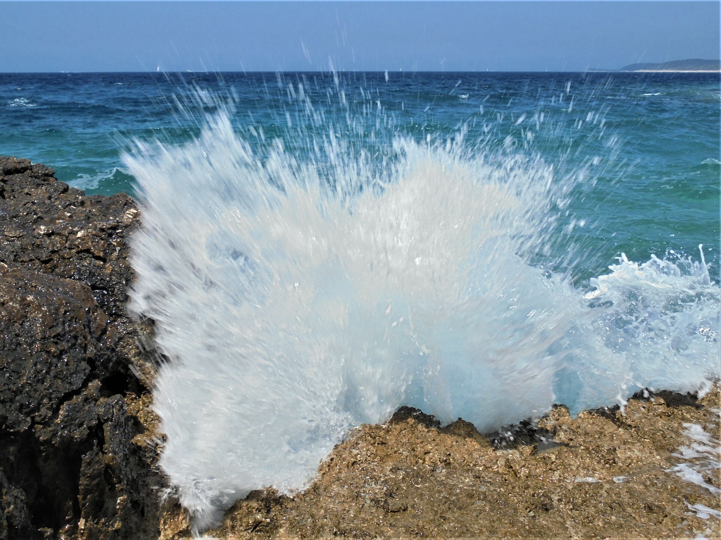 Let's see who guesses how it turned out???