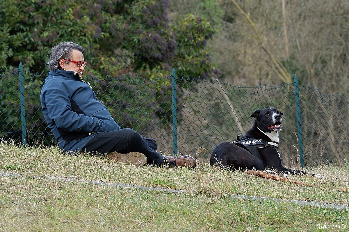 l' uomo e il proprio cane. Una simbiosi possibile