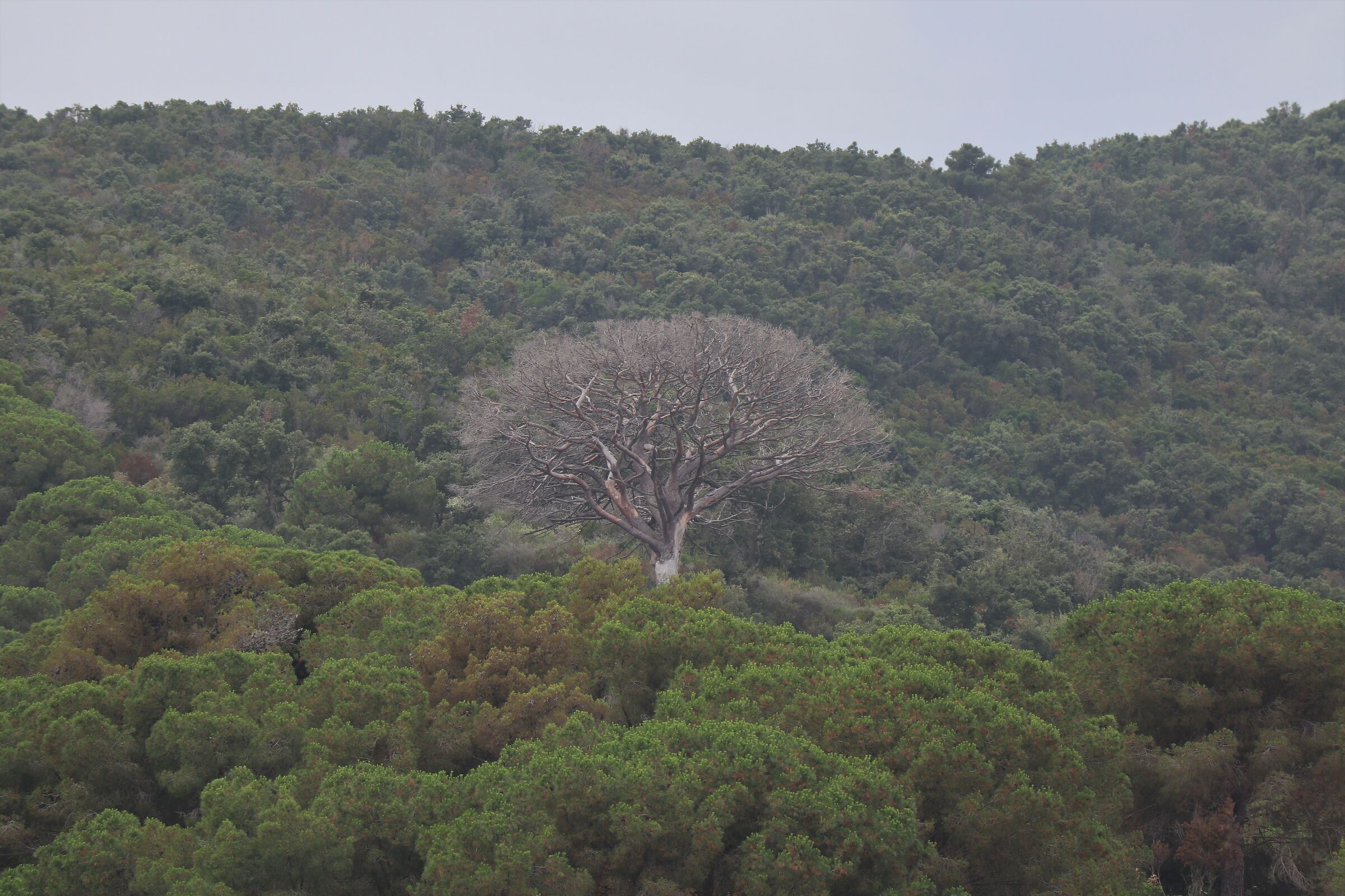 When it is difficult for nature to oppose