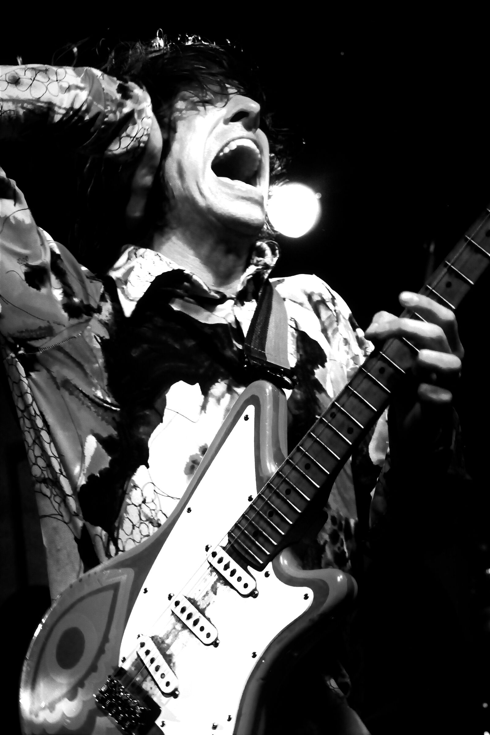 The Schizophonics @Voodoo festival