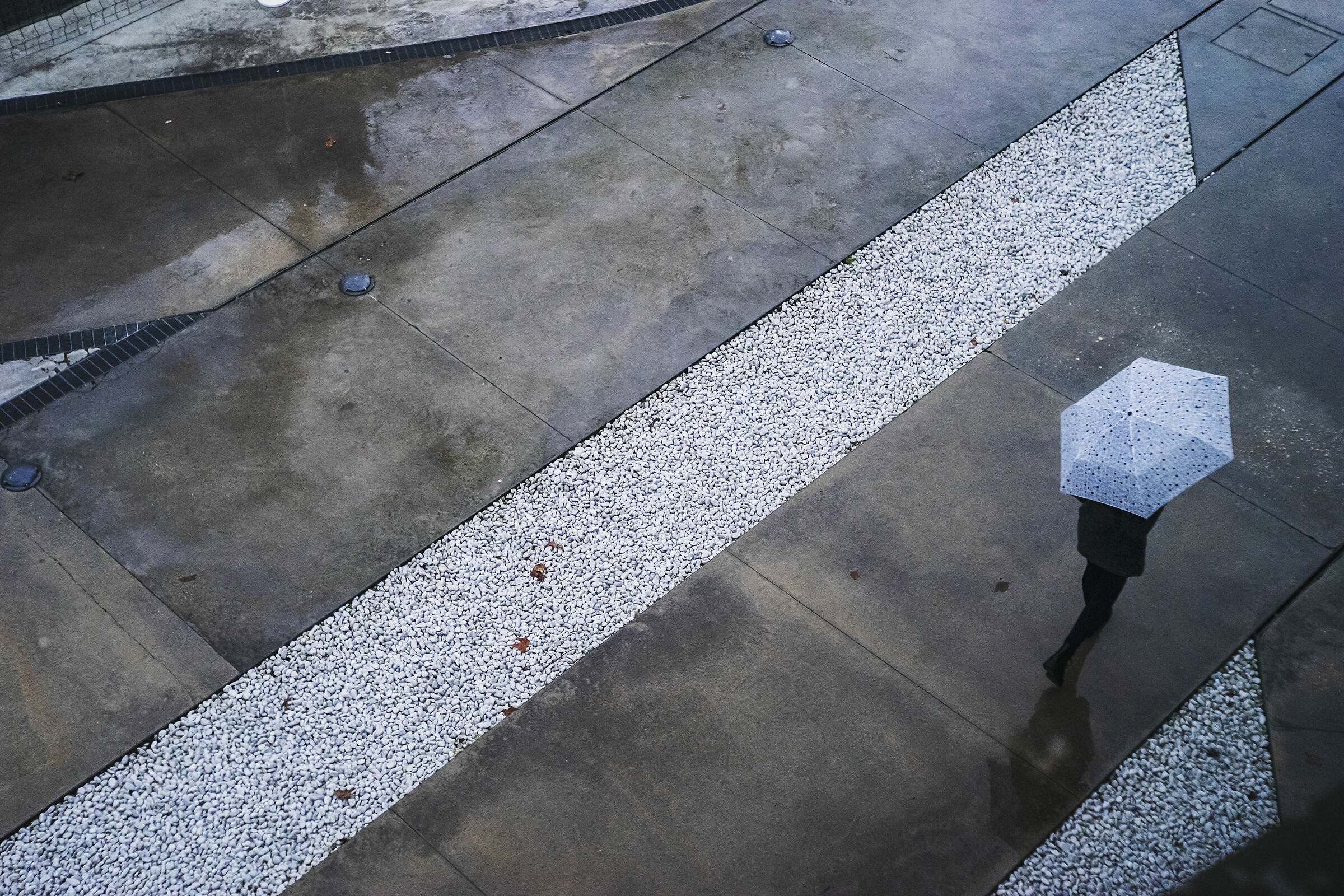 Rain lines, Rome 2019