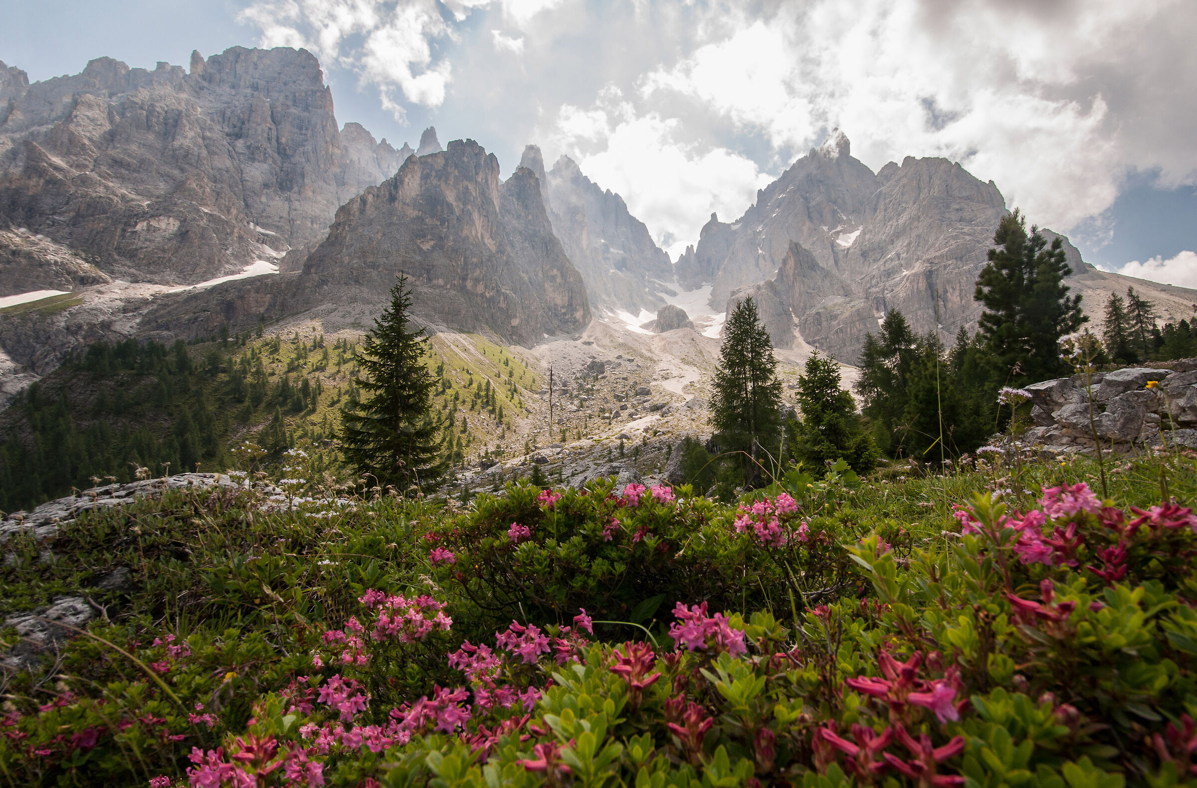 Colori e profumi della Val Venegia