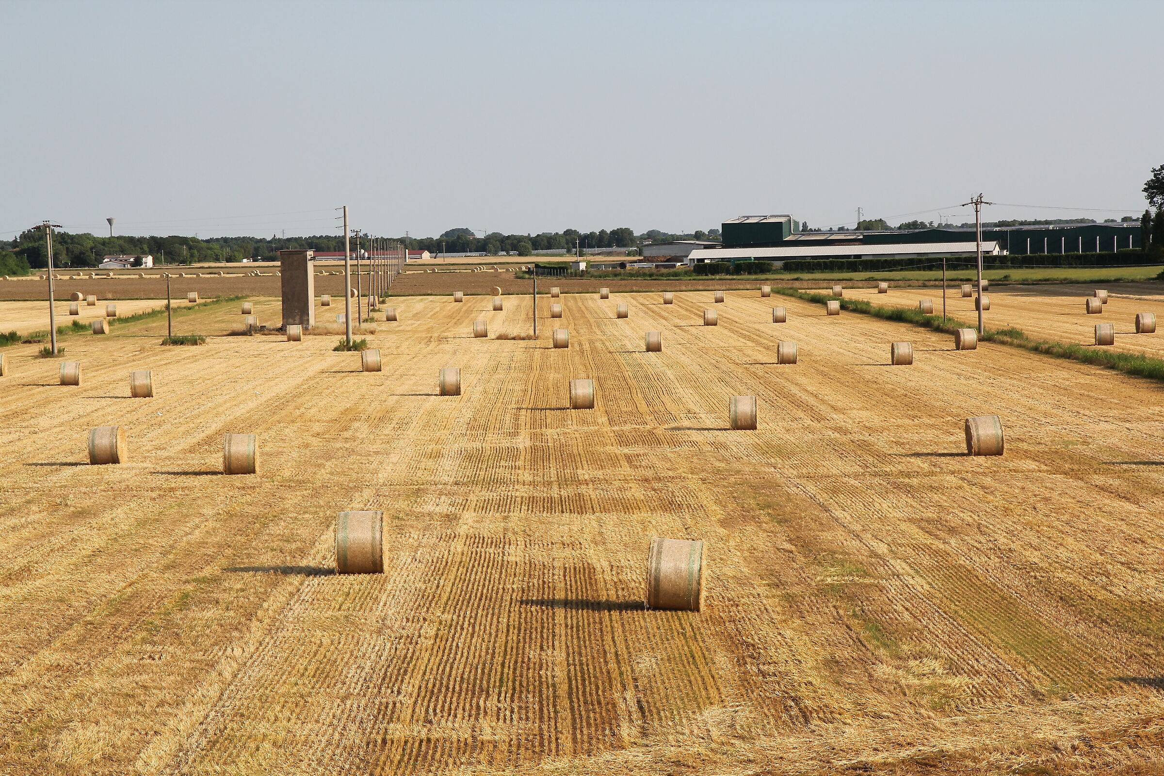 The Scrolls of La Scala Island