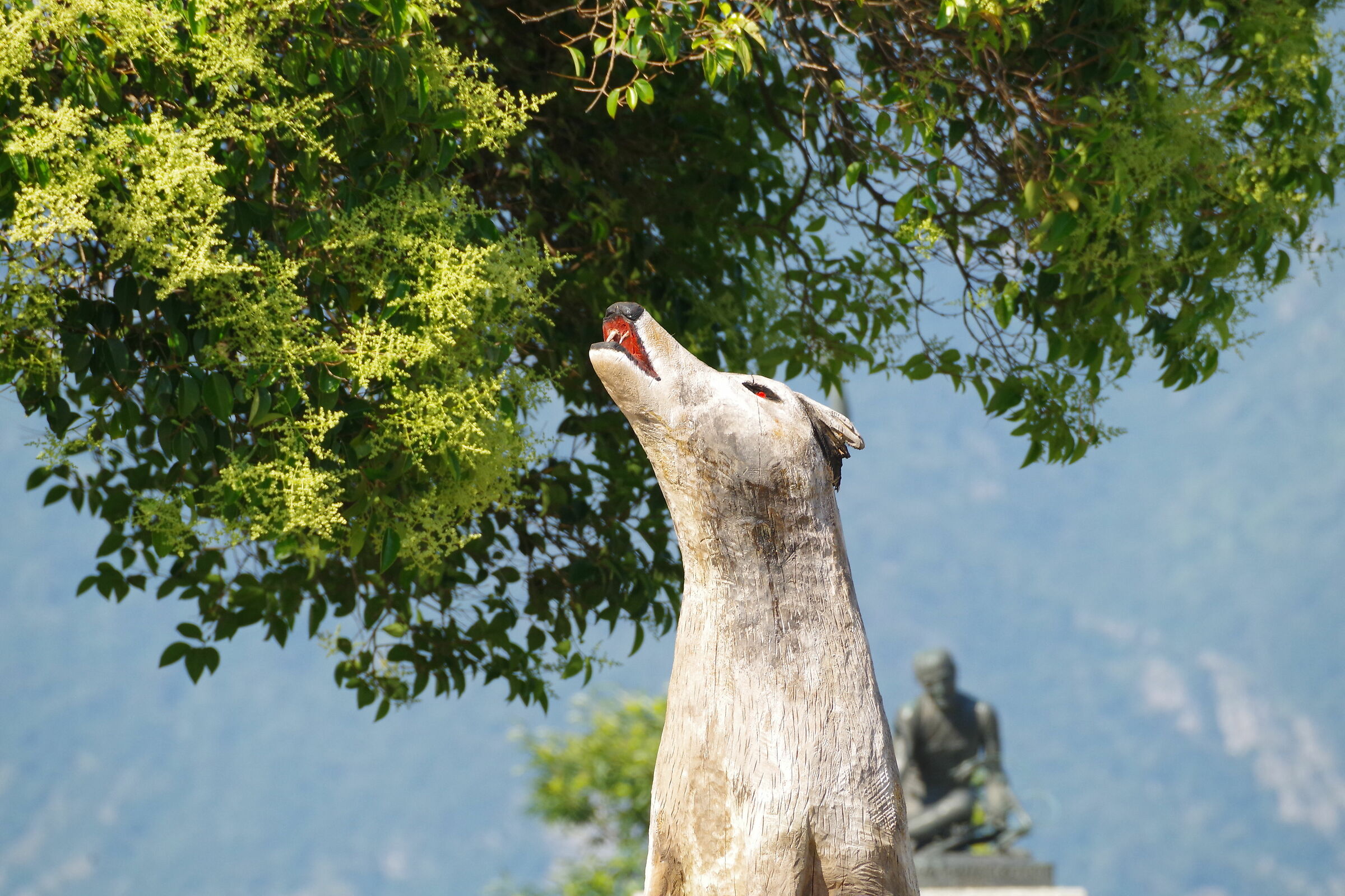 carved howl (Madonna of Ghisallo)