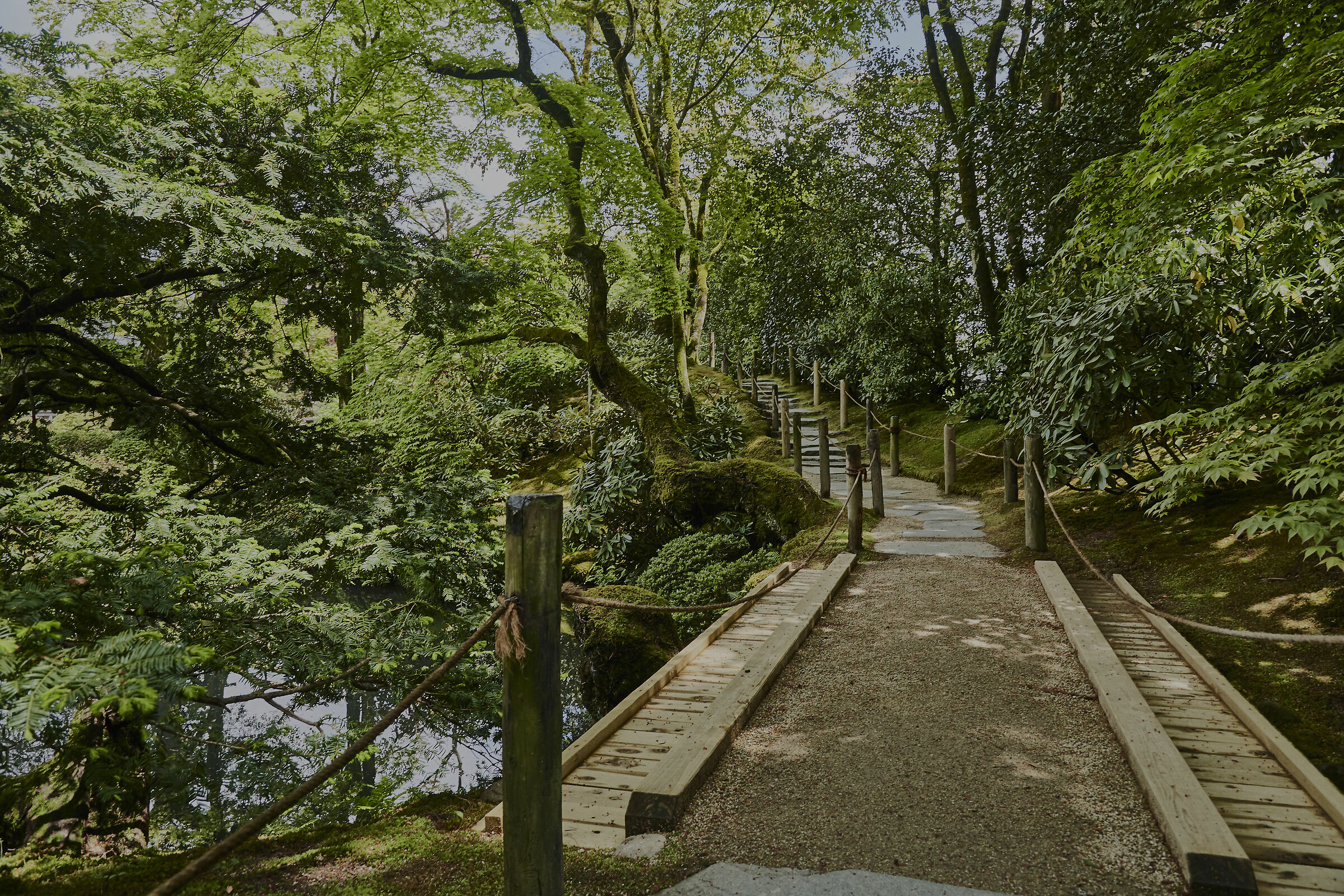 giardino giapponese (Tokyo)