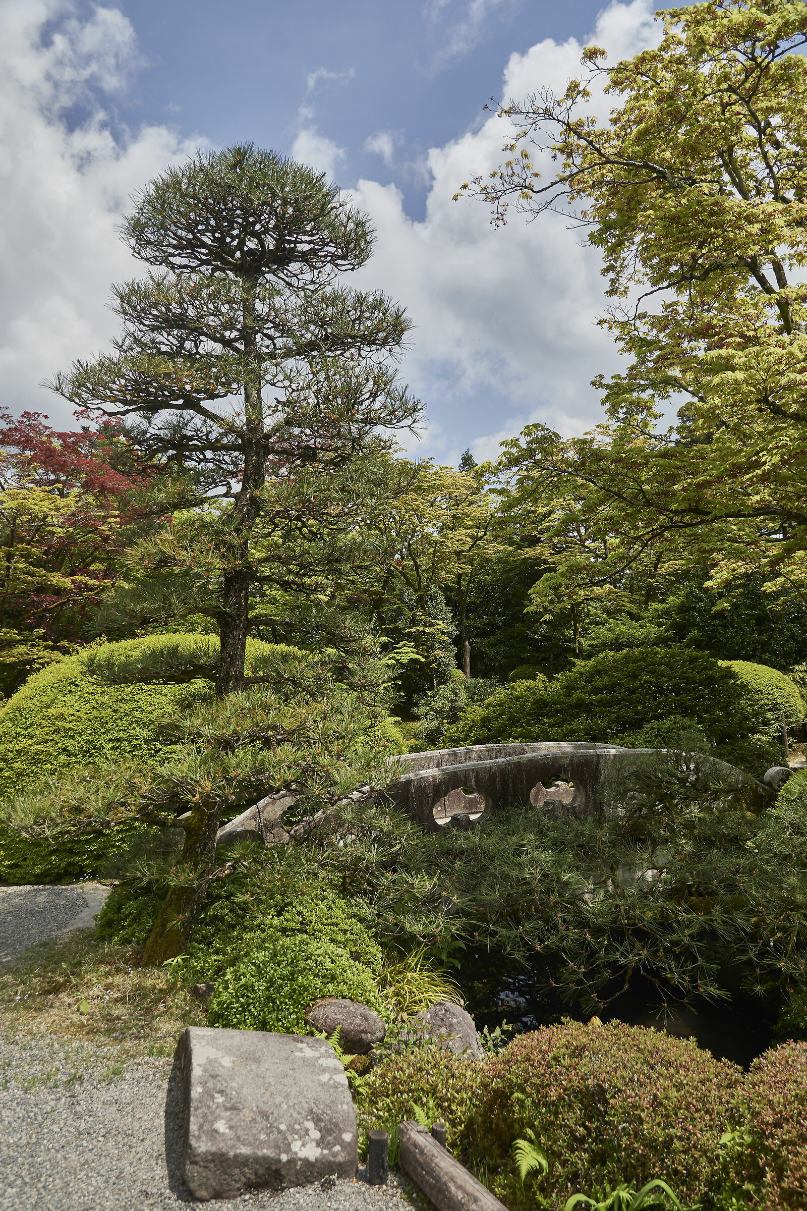 giardino giapponese (Tokyo)