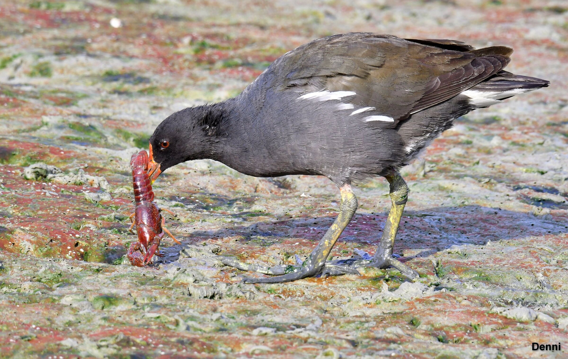quando non ce n'è va bene tutto