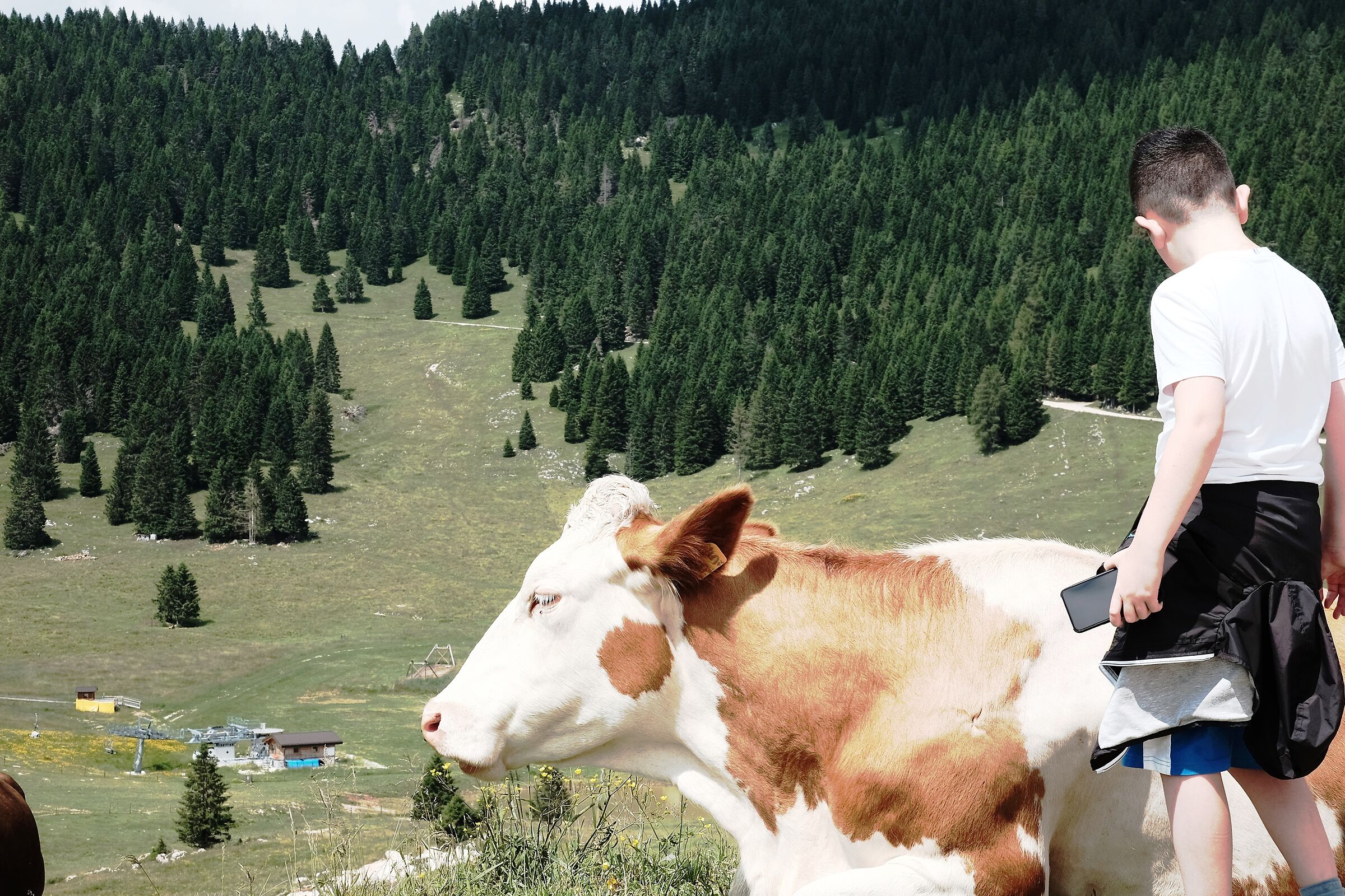 Oggetto non identificato