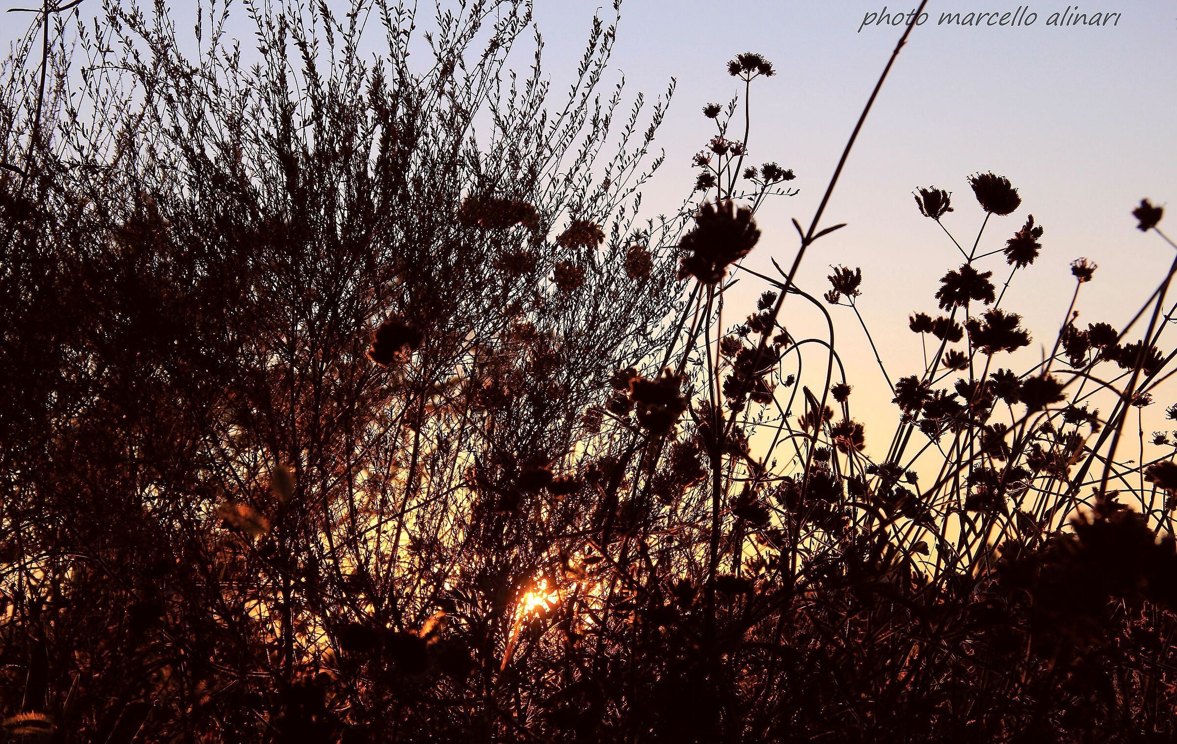 c'e' sempre un bagliore, anche nel caos