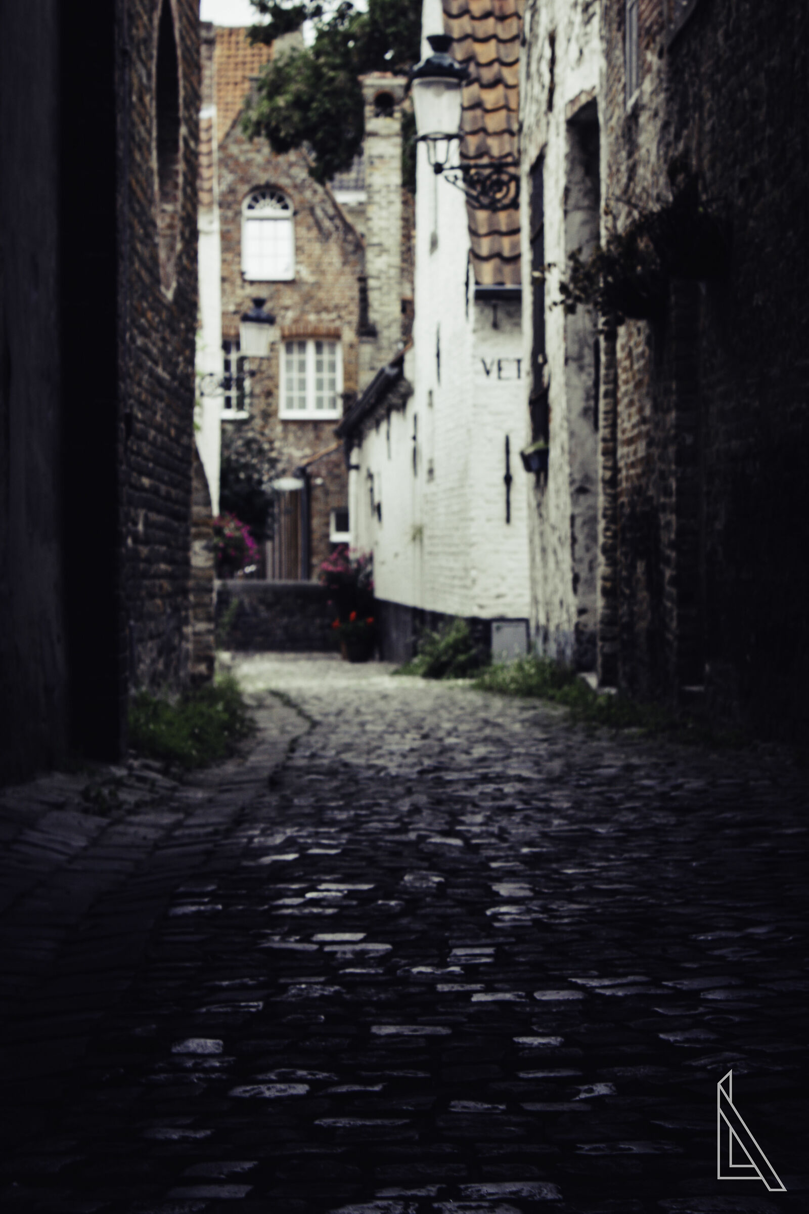 Alley in Bruges