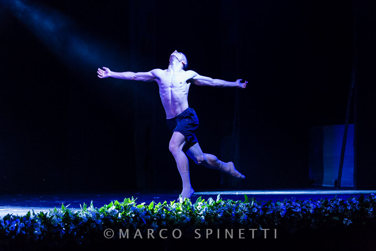 Wise Show 2019 - "THE WORLD IN FESTA"