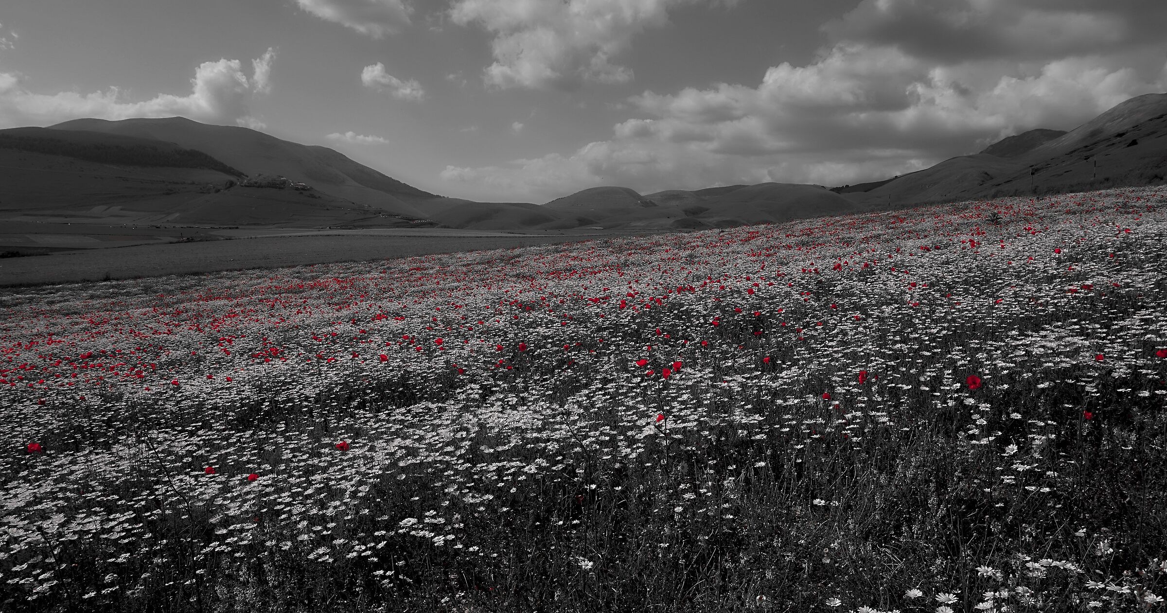 Castelluccio, June 2019