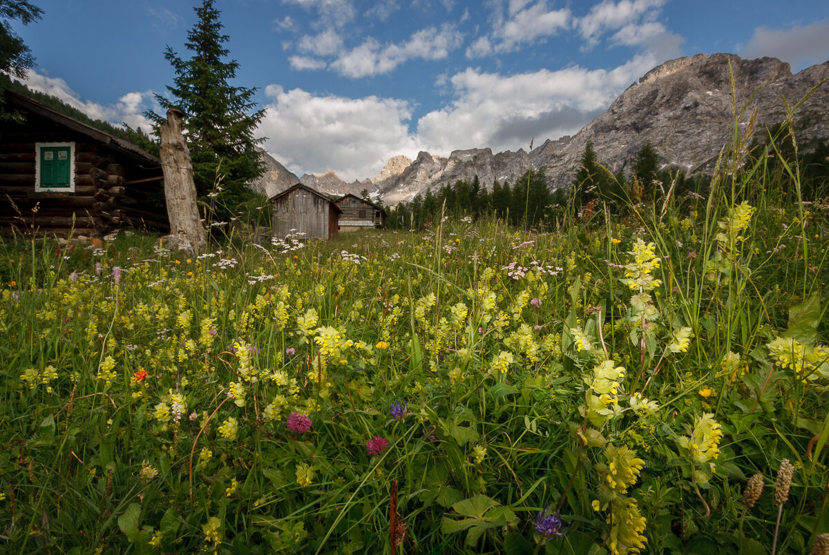 Alla fiera del giallo!