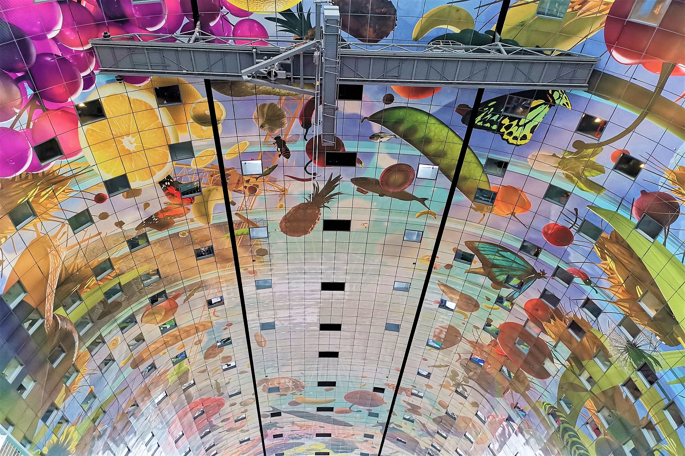 With his nose up in Rotterdam's Markthal
