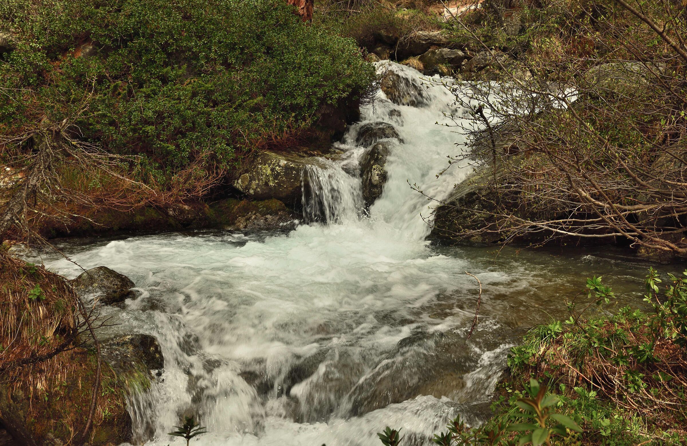 returning from the Alpe Valdeserta