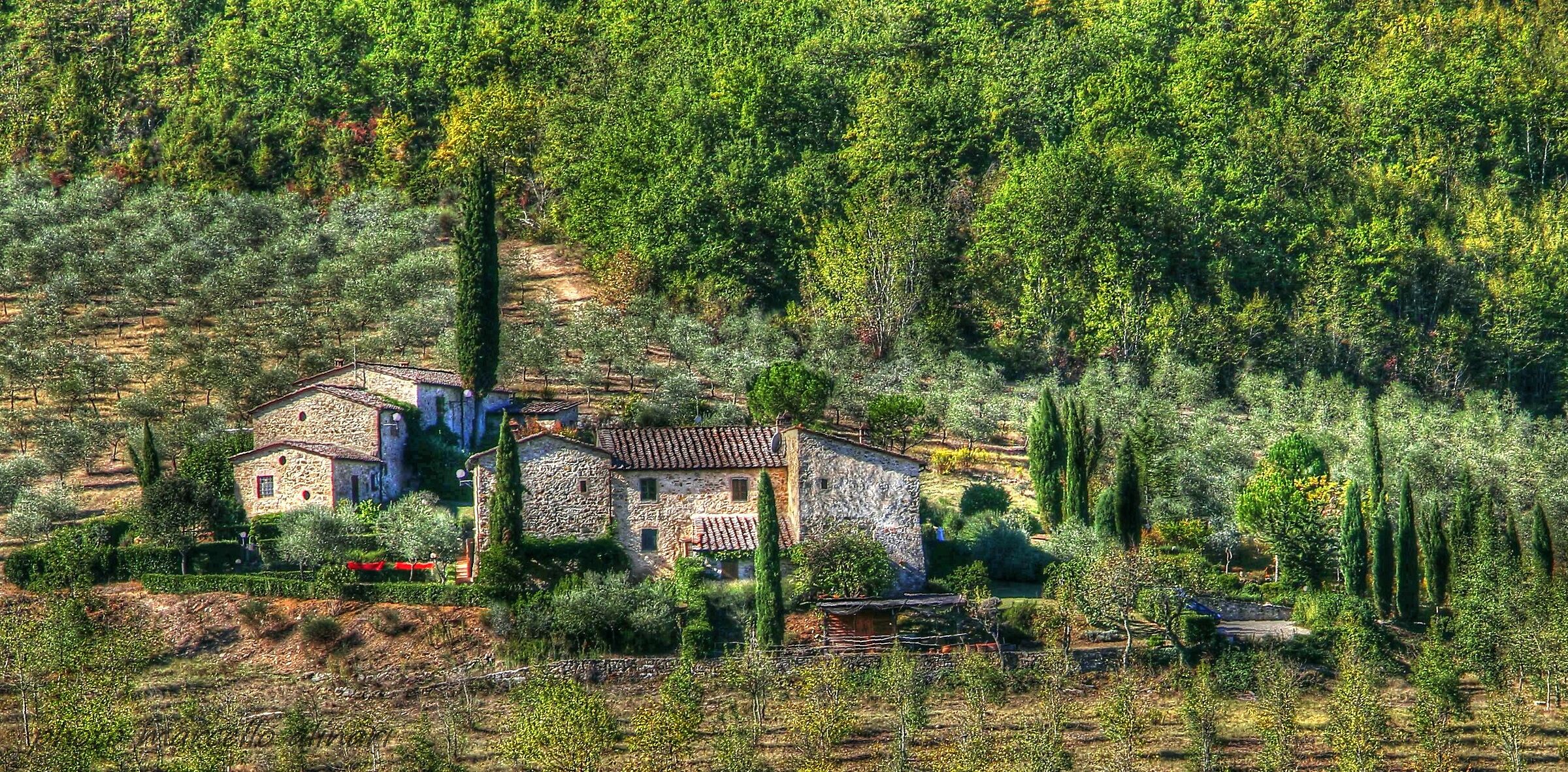 le bellezze della campagna senese