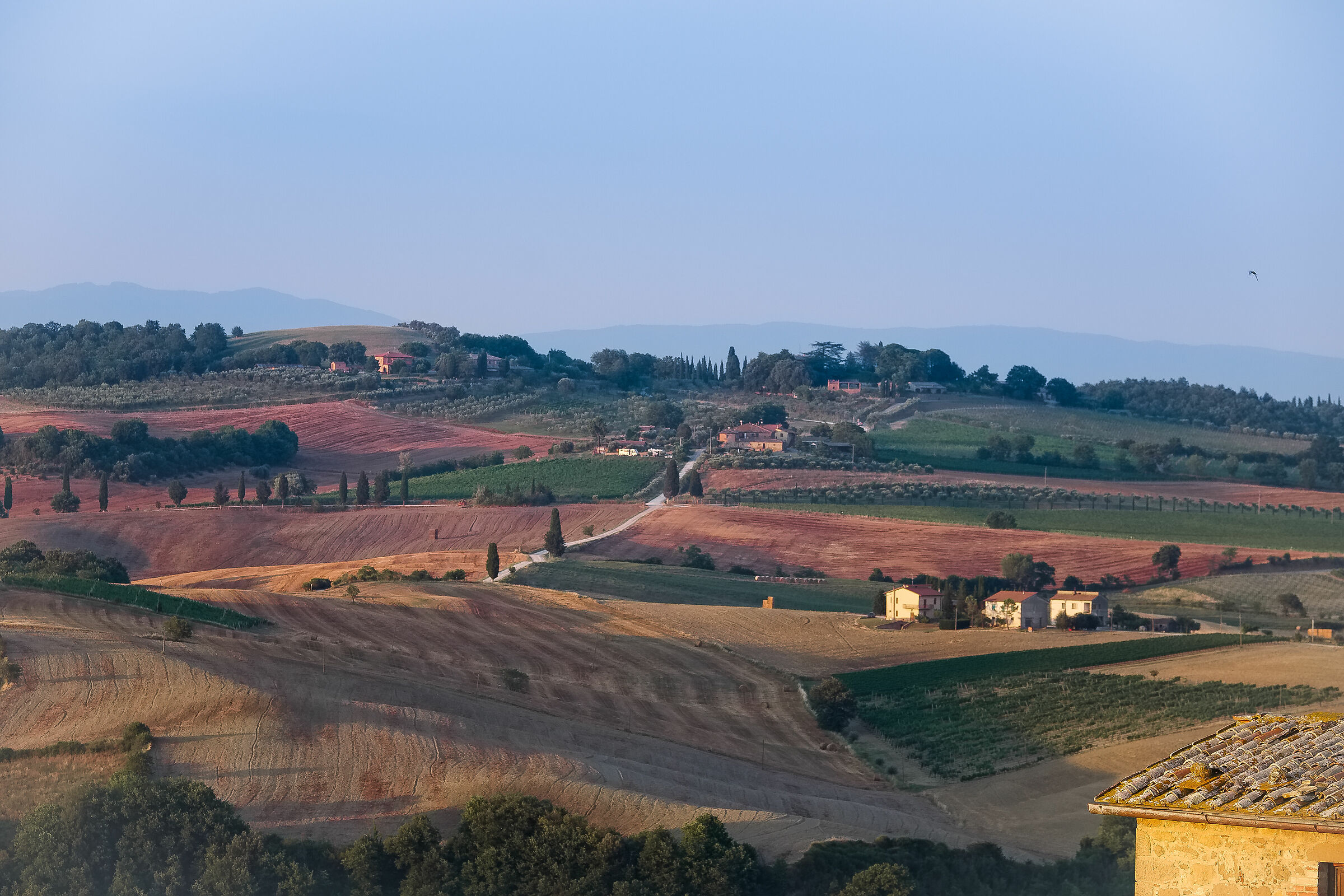 Colline di Pienza al tramonto