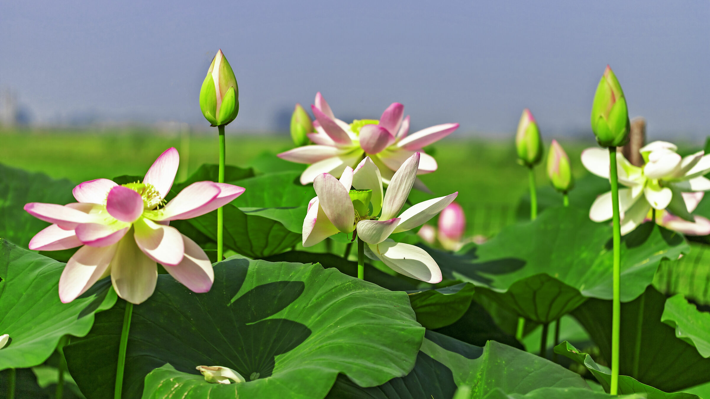 Gruppo di famiglia in un esterno 3