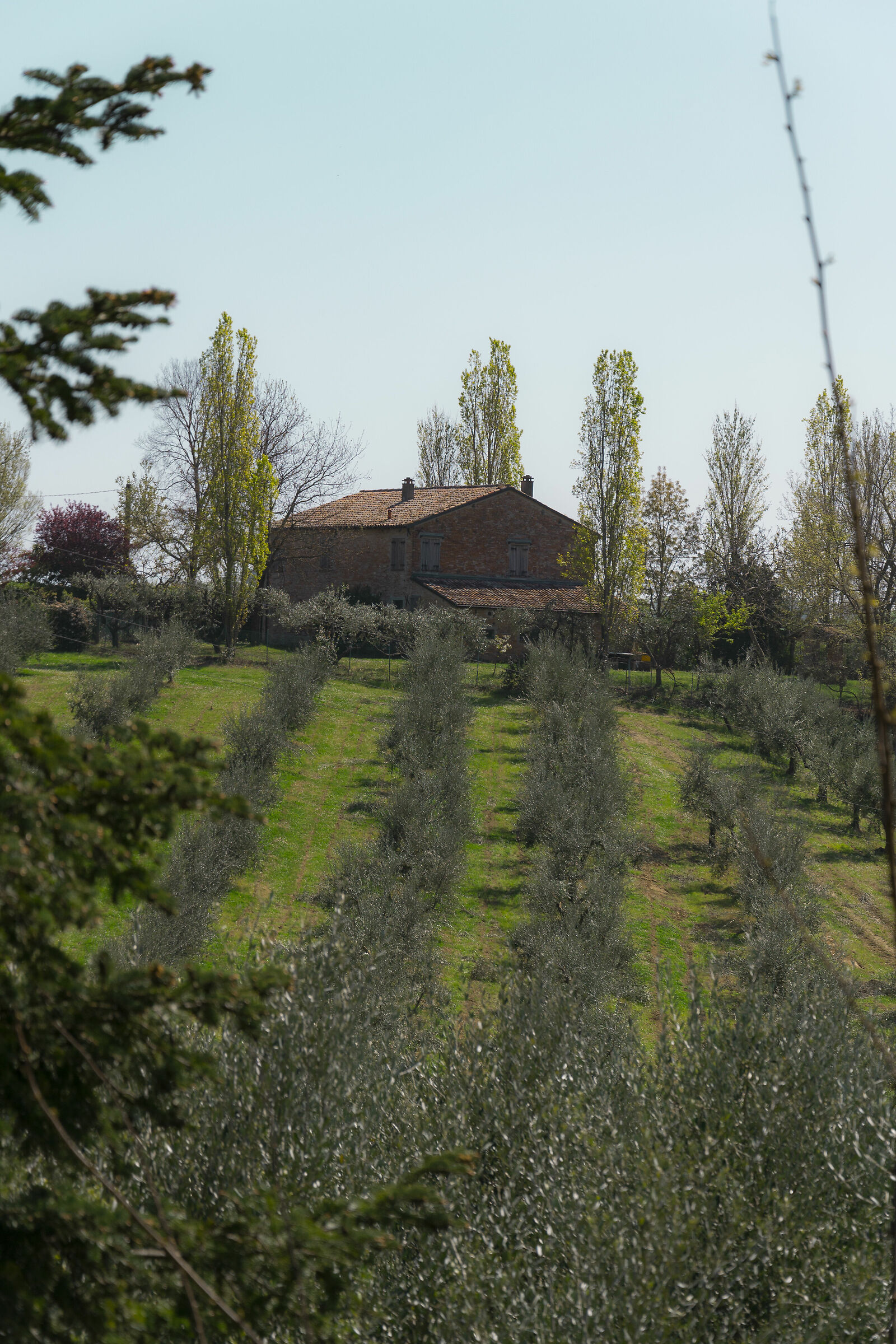 gioco di prospettiva