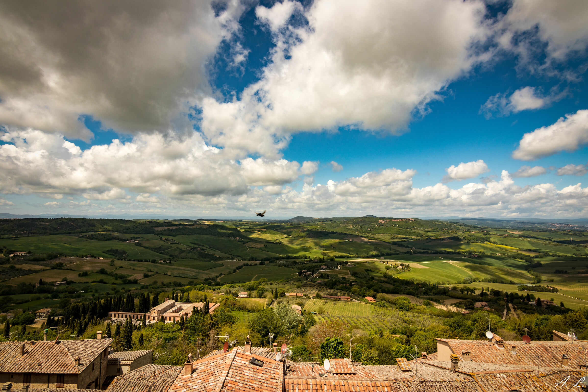 Montepulciano
