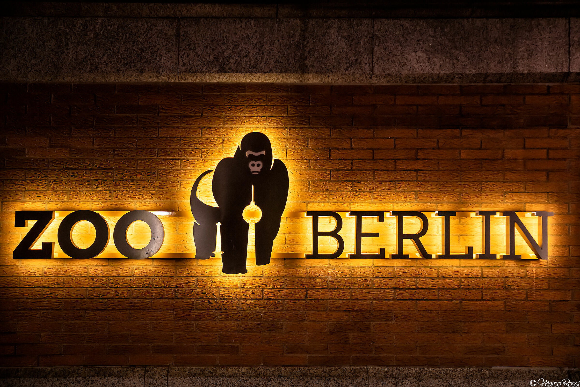 The guys from the................