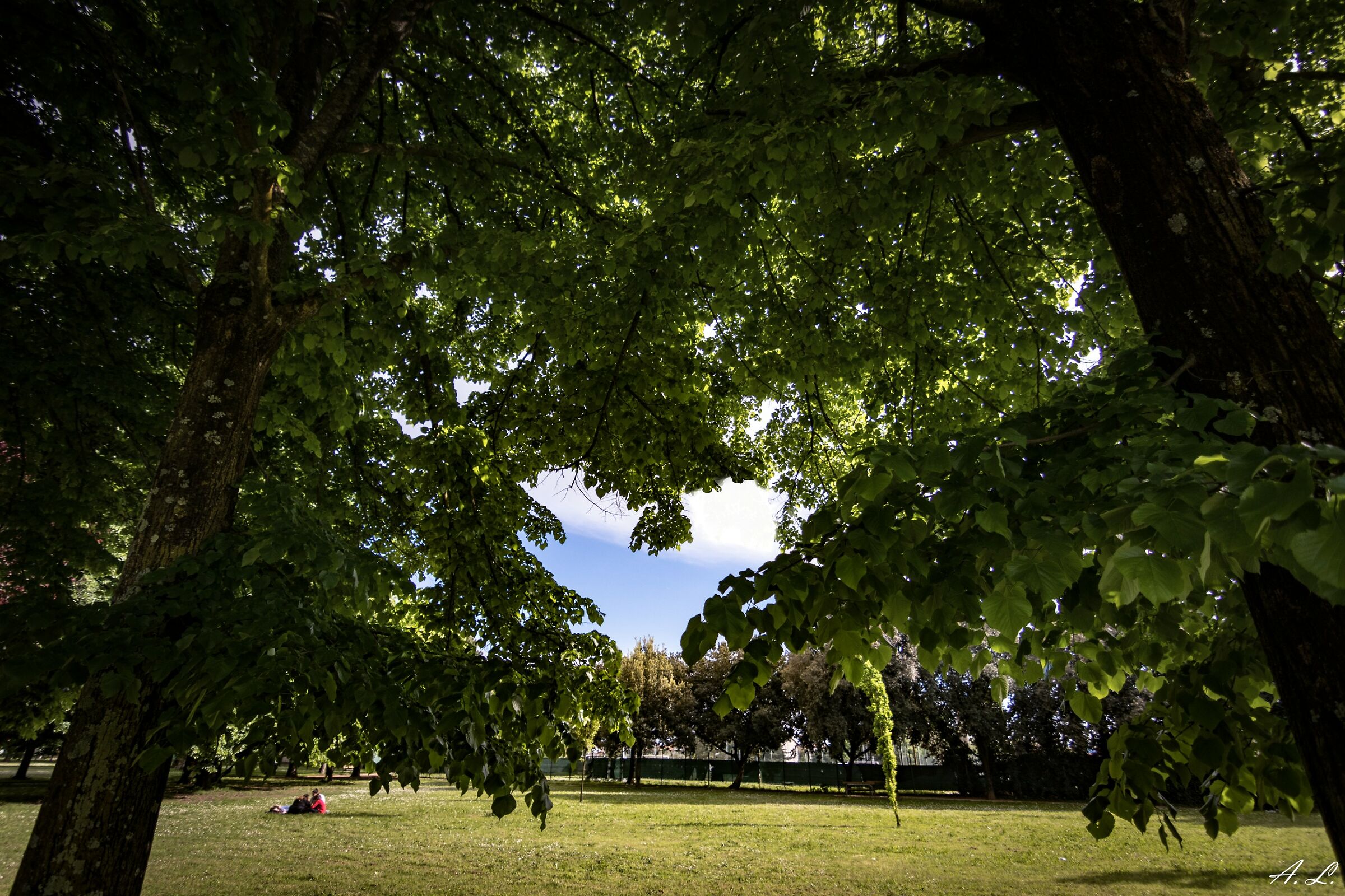 Heart Nature, Nature