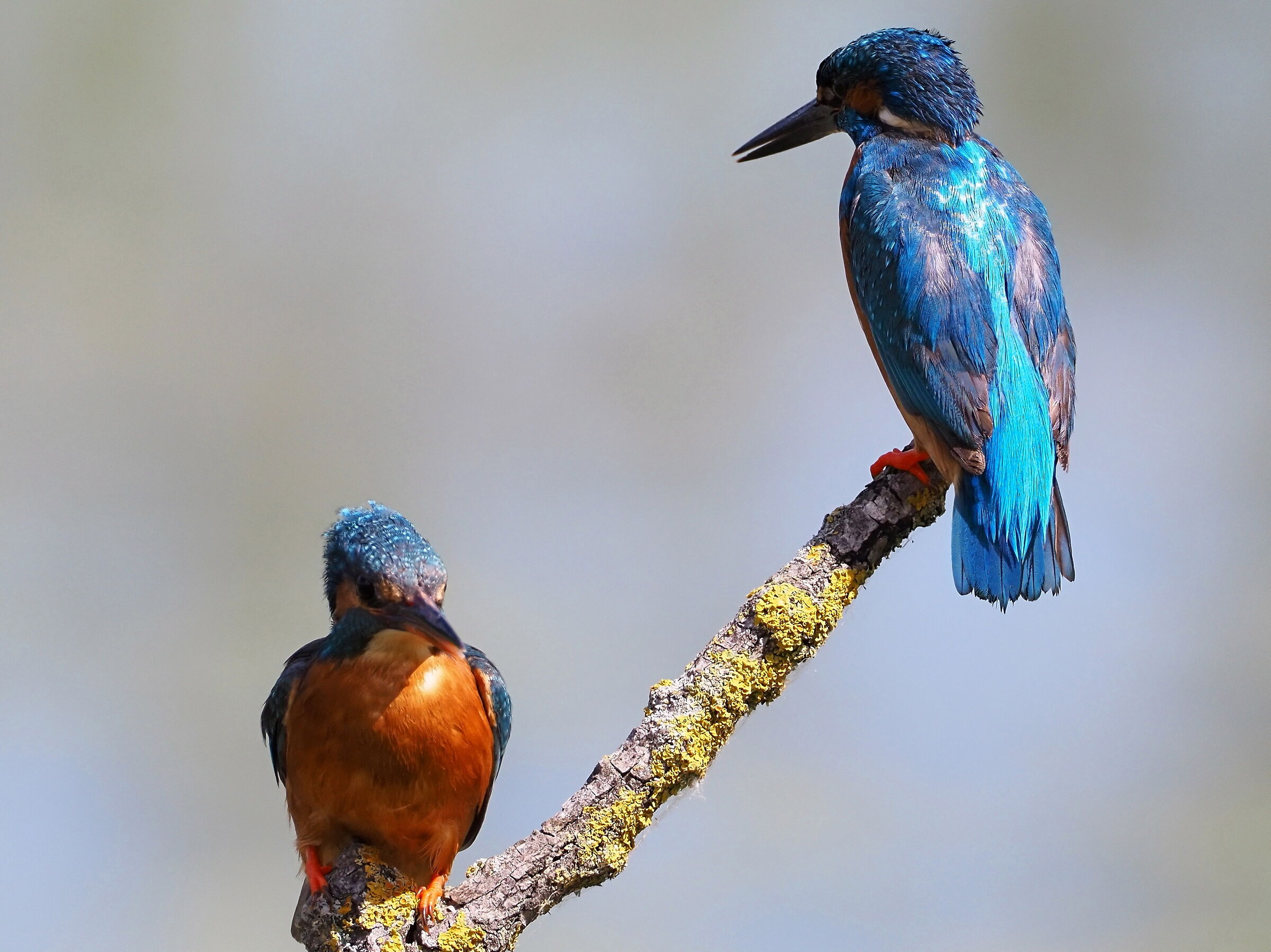 finaling you've arrived