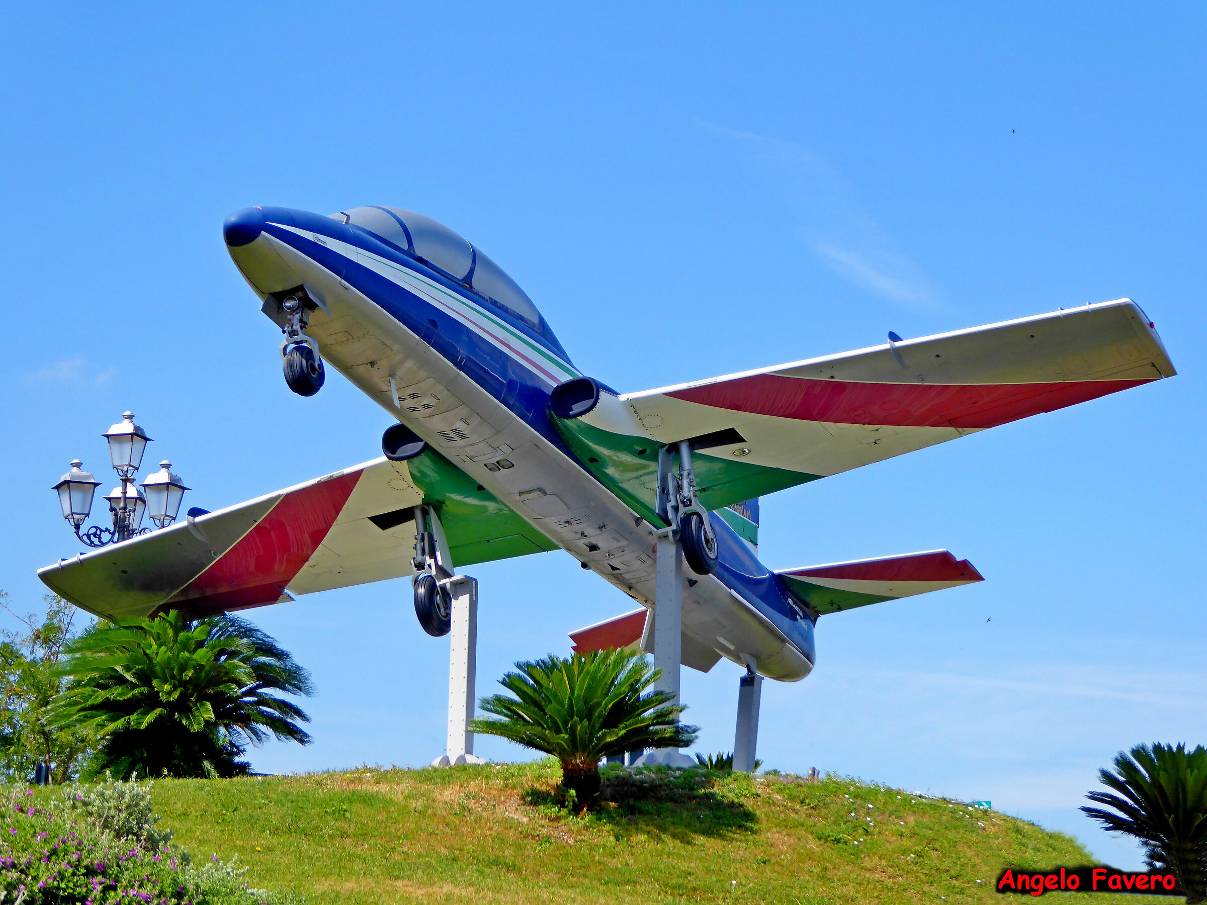 landed at the Basilica of Loreto