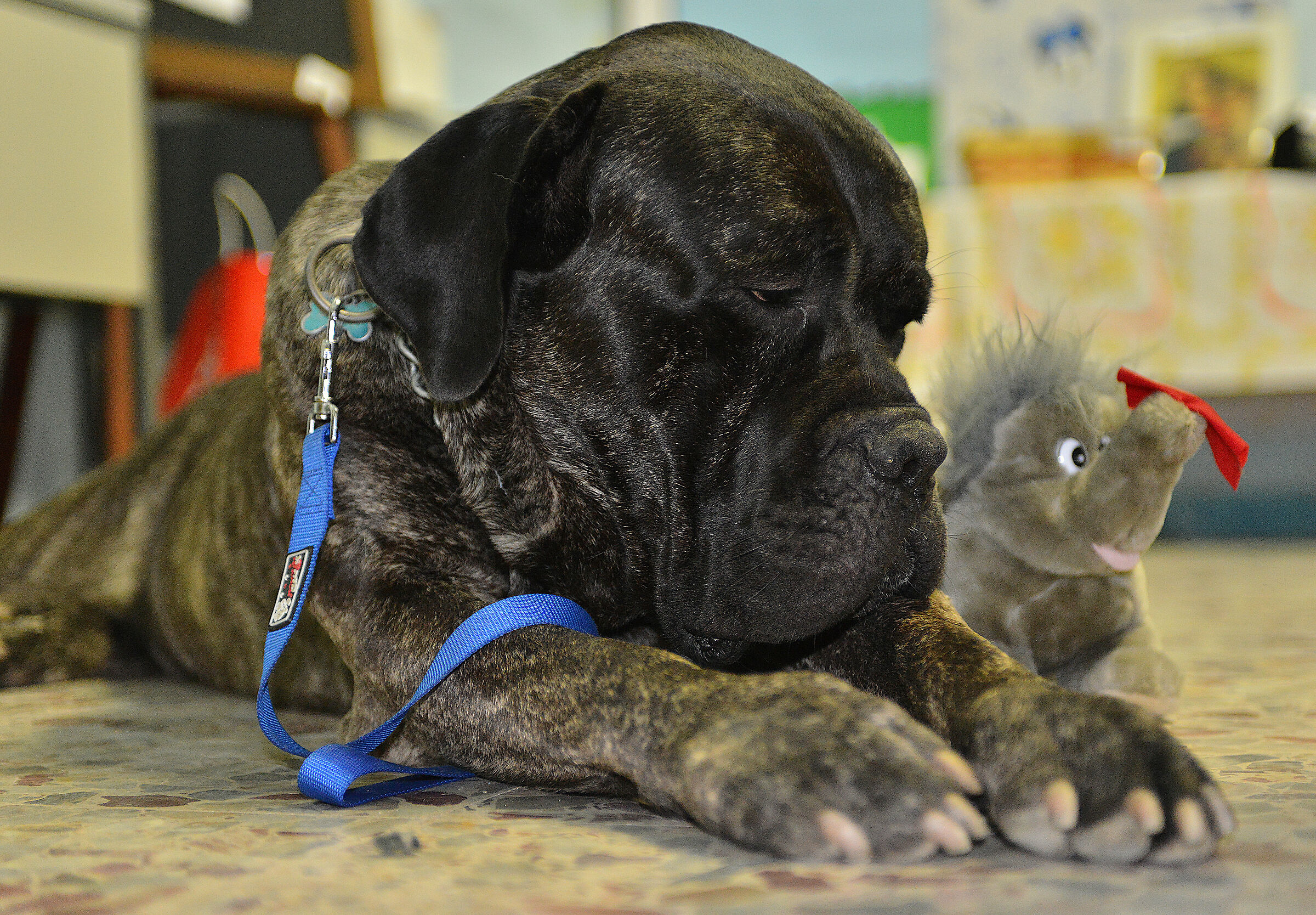 Ma quanto sei piccolo ...