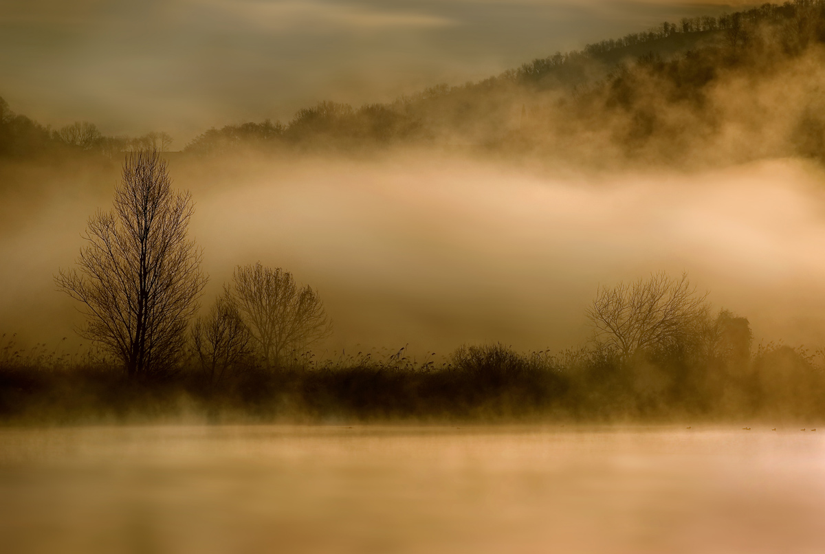 The soul of the river