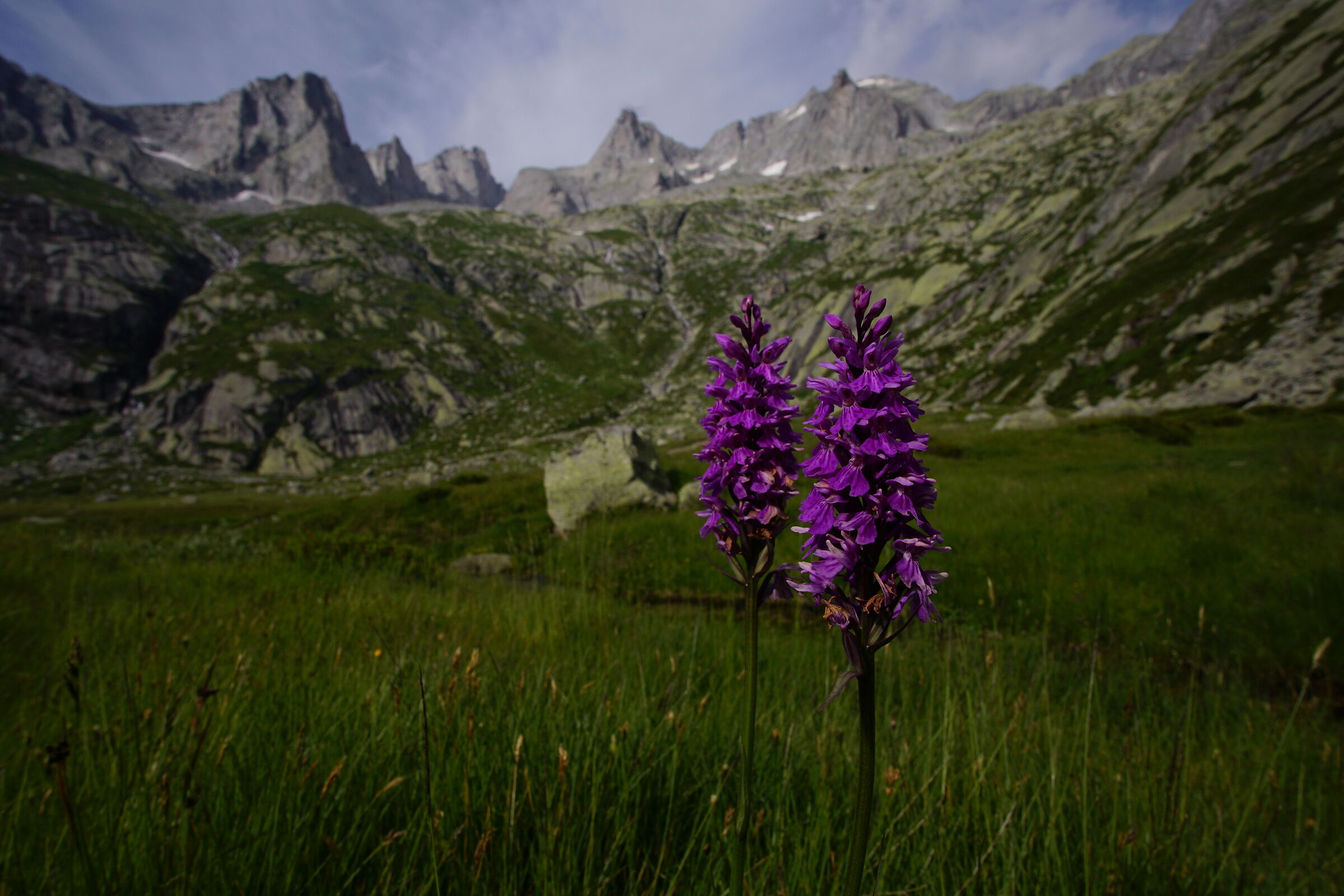 val di Mello