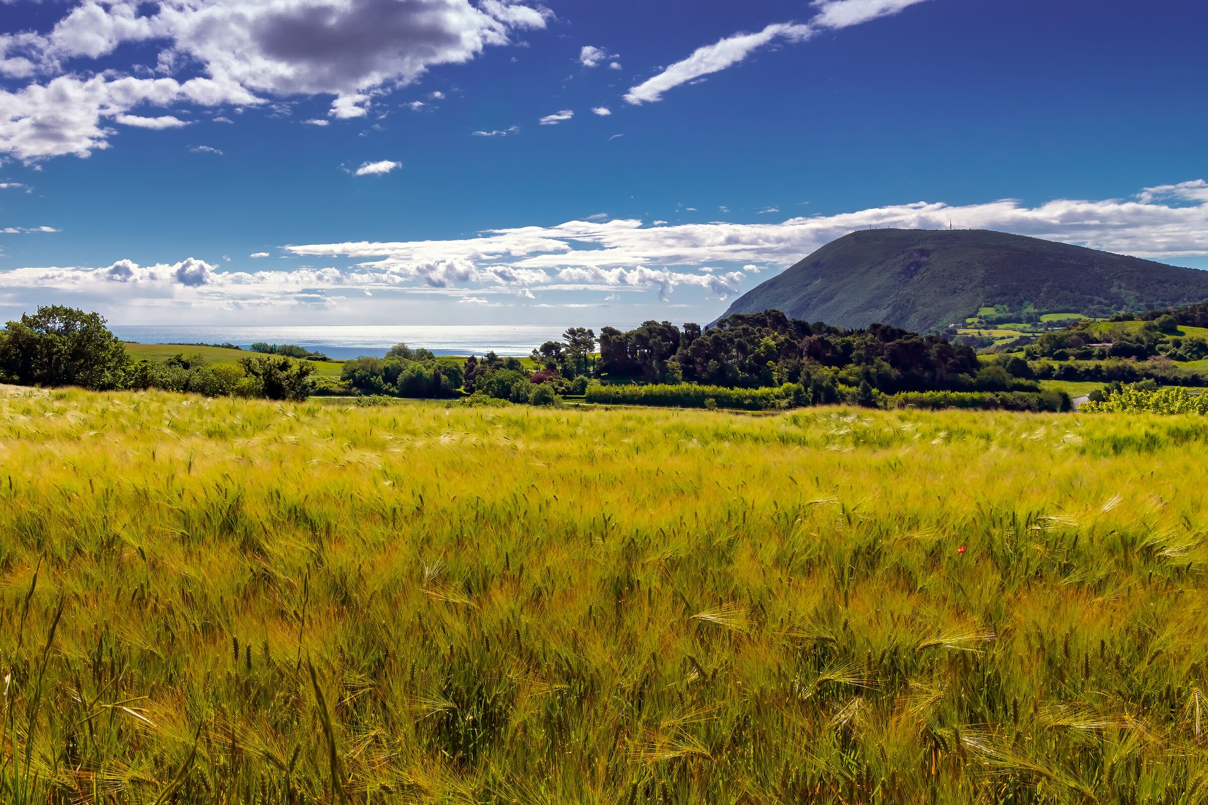 Mount Conero seen from Varano