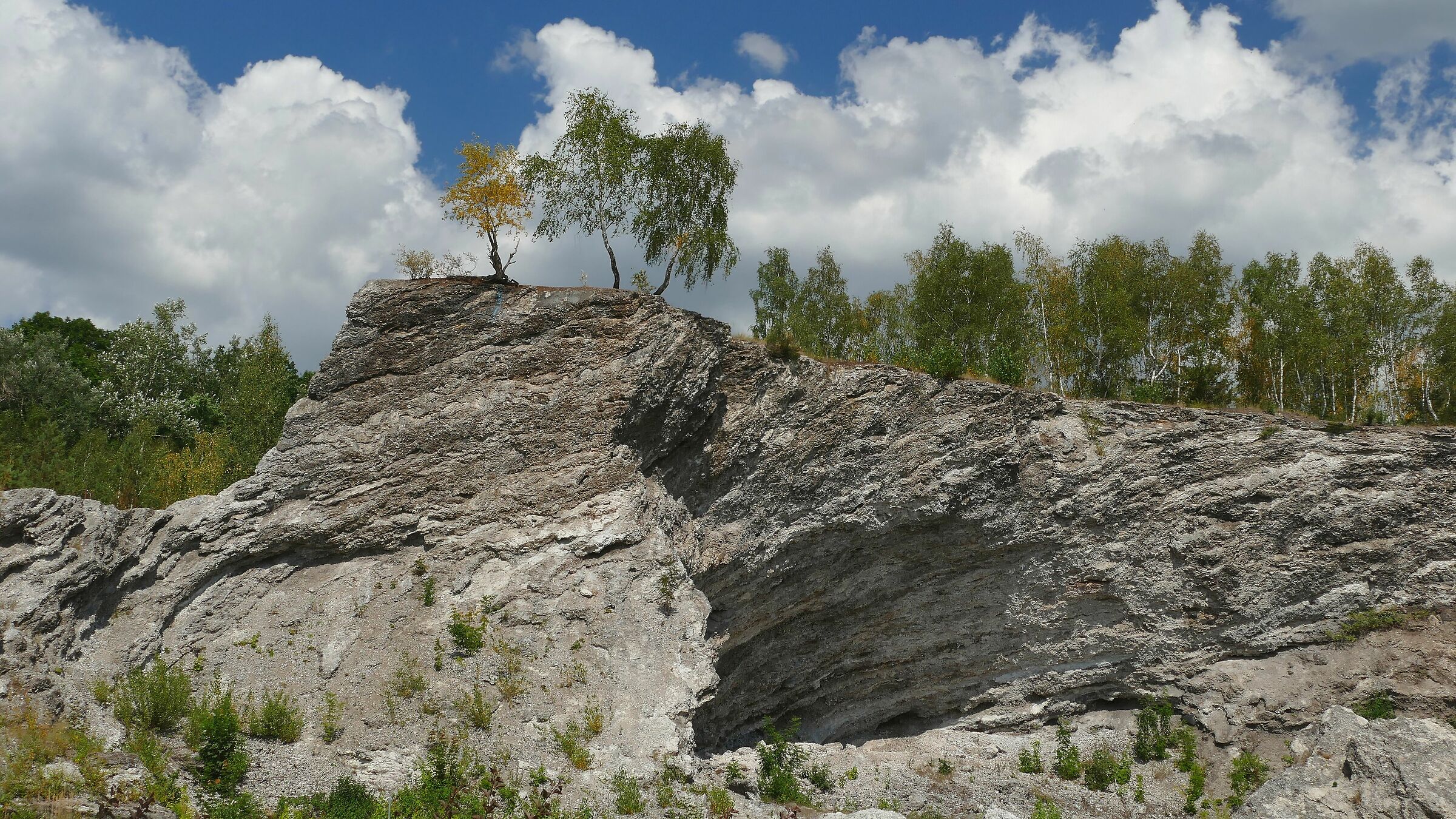 Na Szlakowisku - Starachowice, Poland
