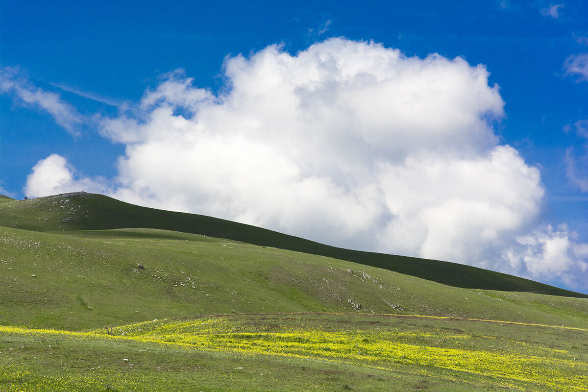 to have one's head in the clouds