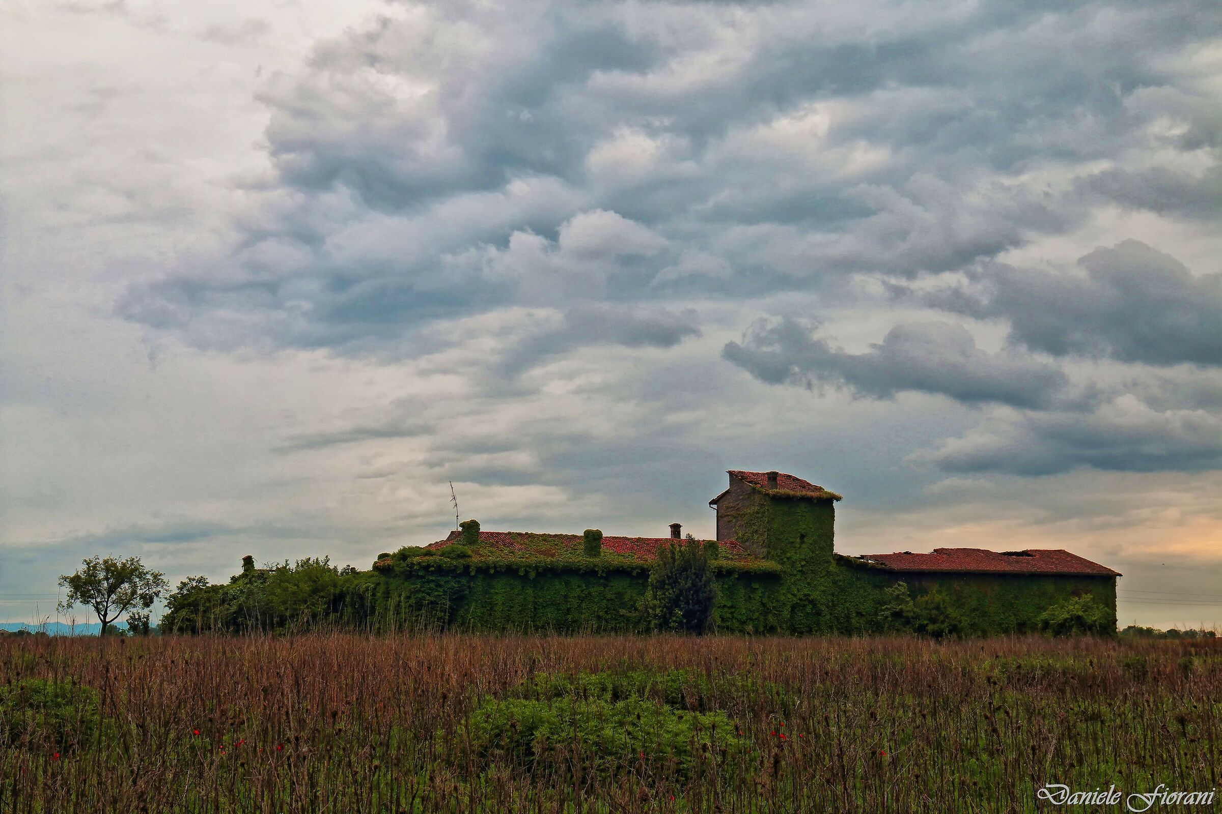 La natura vince sempre.