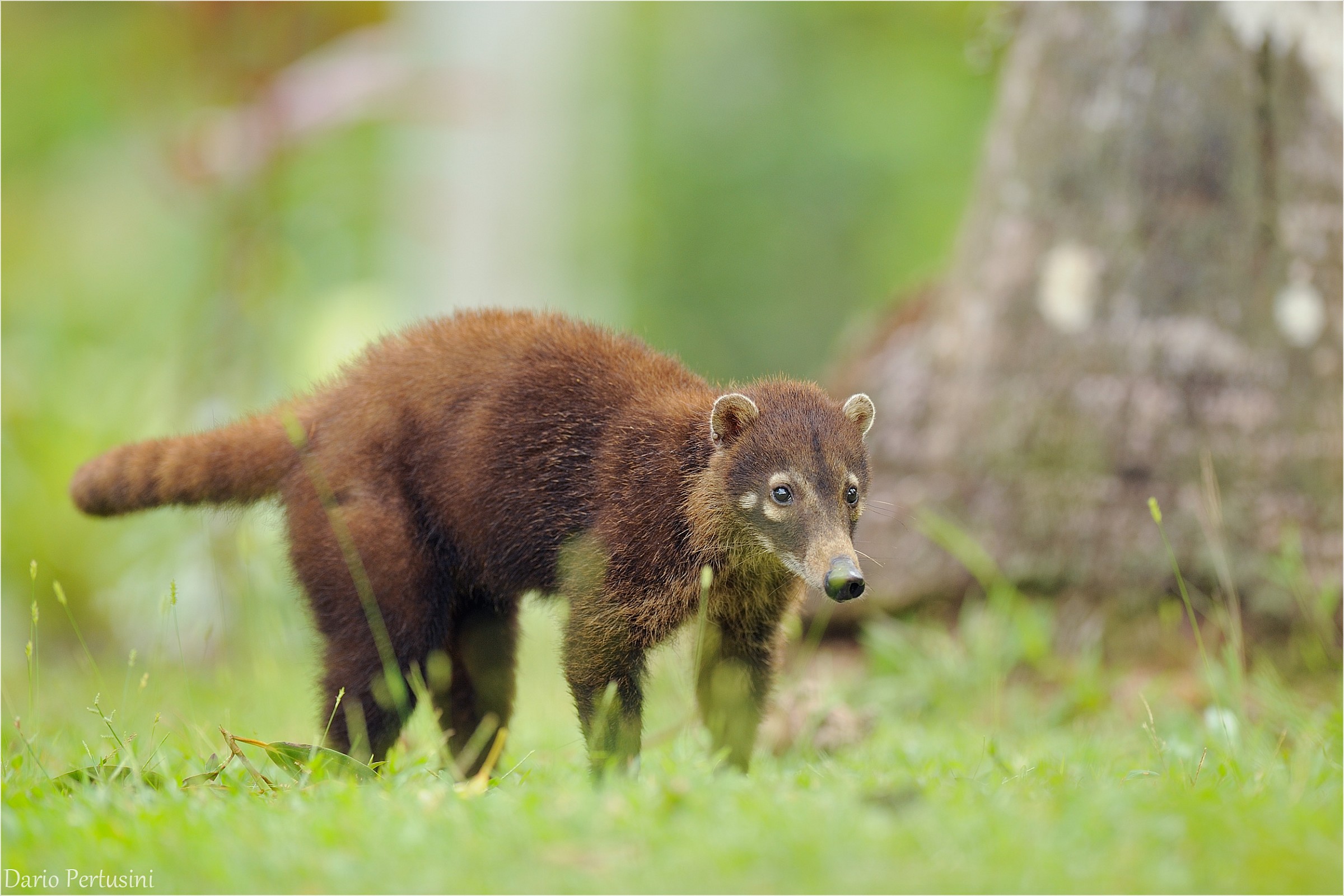 An engaging host ...