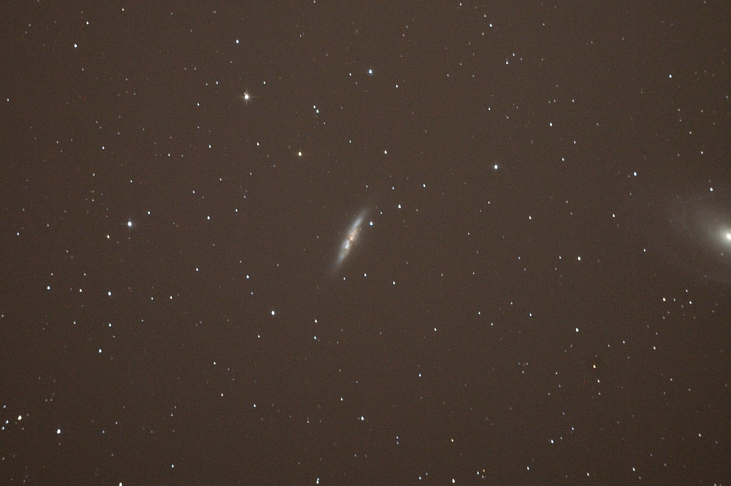 M81